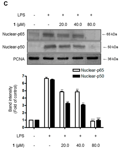 Molecules 23 01244 i002