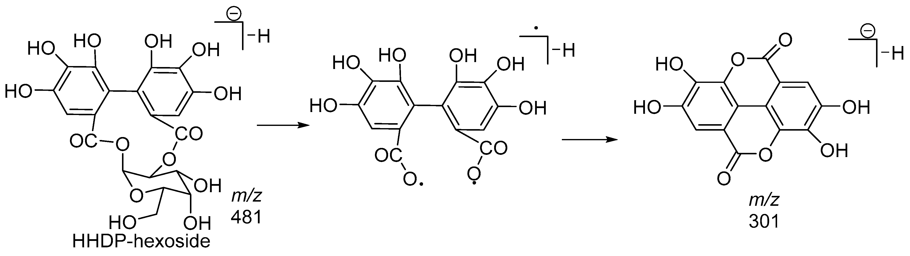 Molecules 23 01247 g008 Molecules 23 01247 g008