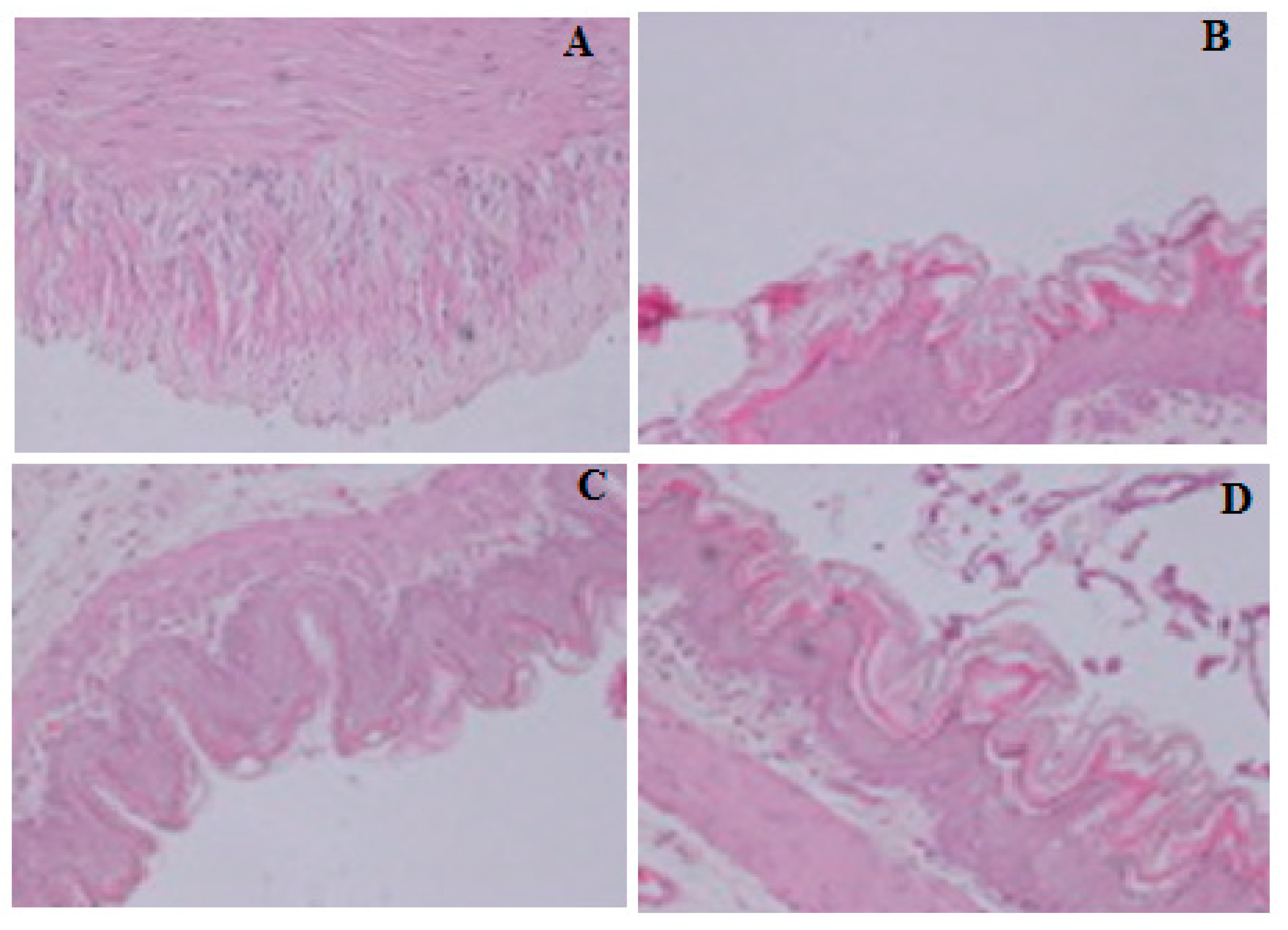 Molecules 23 01250 g003