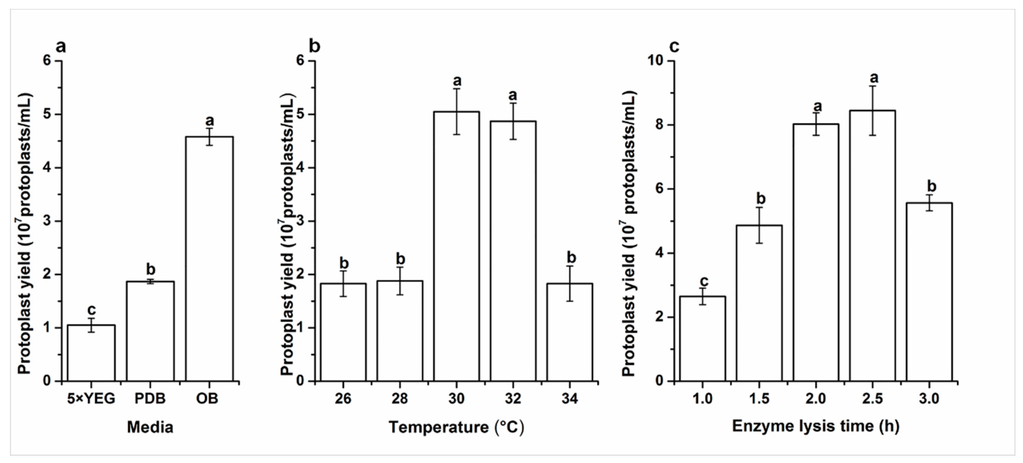 Molecules 23 01253 g001