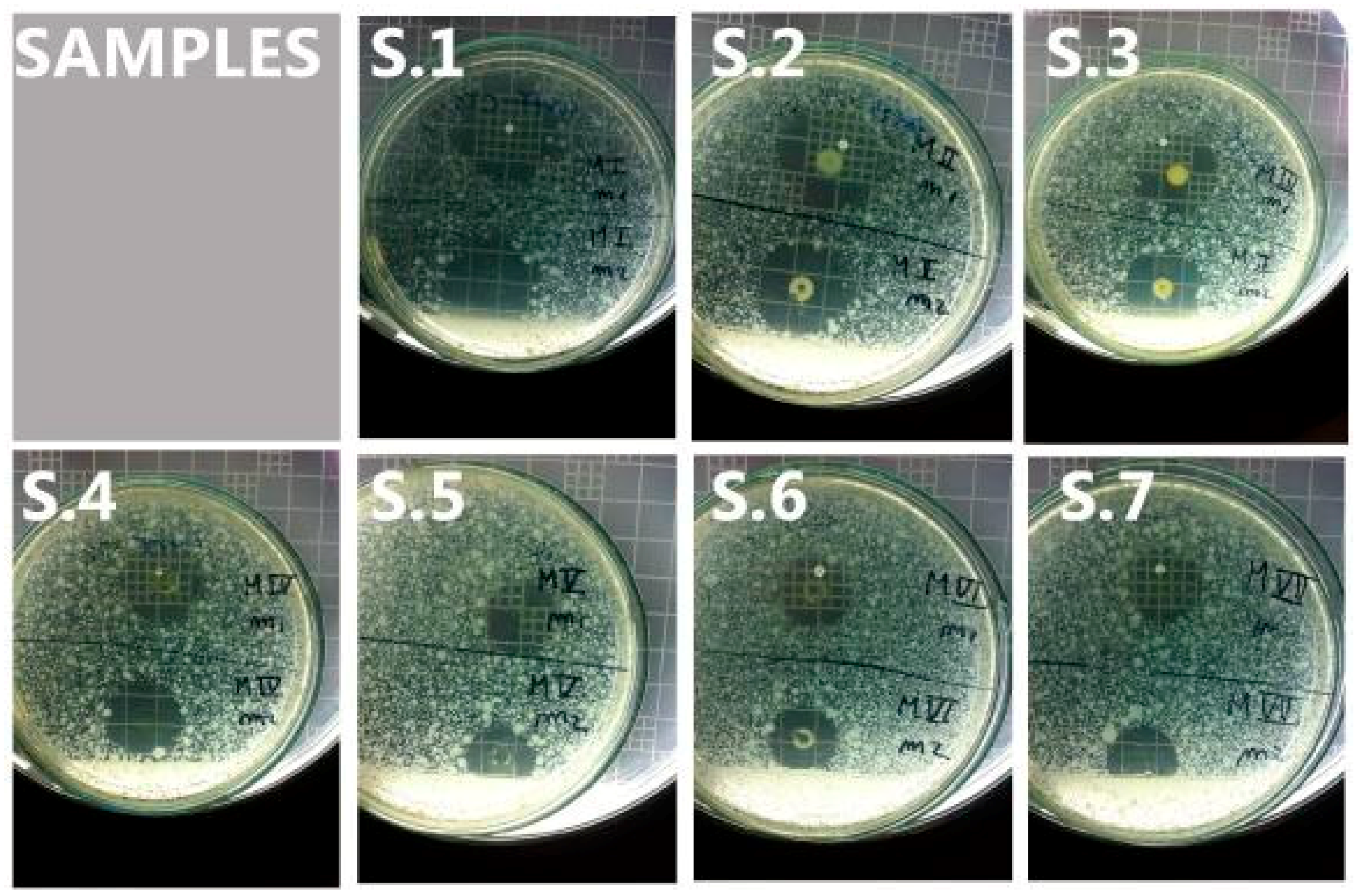 Molecules 23 01264 g002