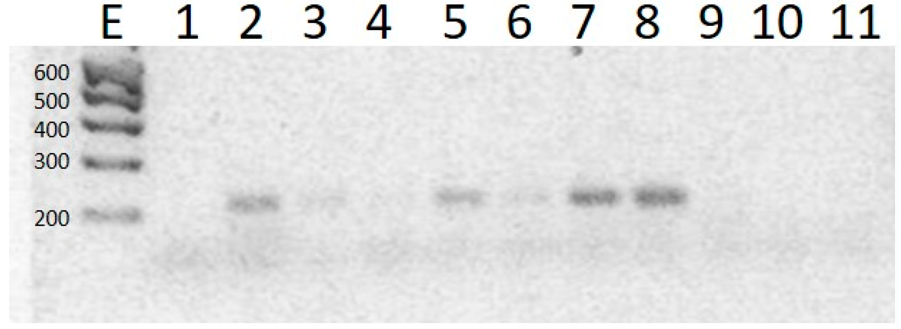 Molecules 23 01264 g003