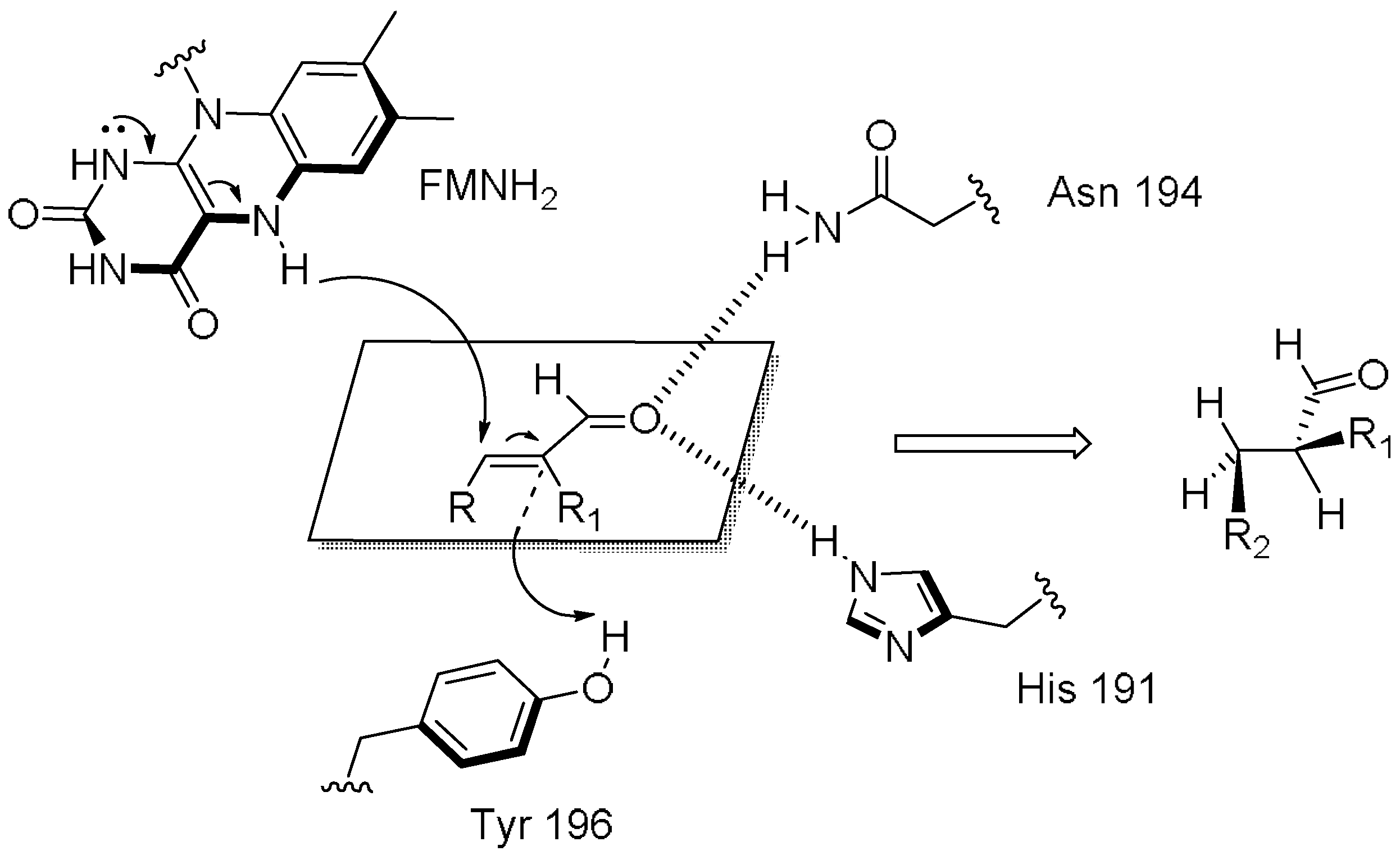 Molecules 23 01265 sch001 Molecules 23 01265 sch001