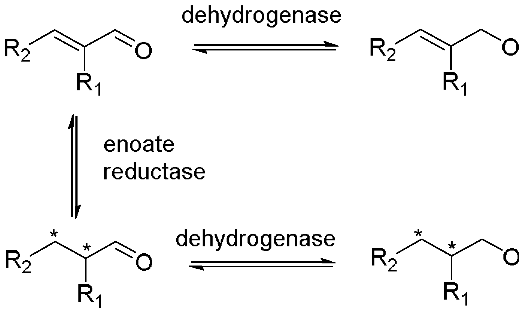 Molecules 23 01265 sch011 Molecules 23 01265 sch011