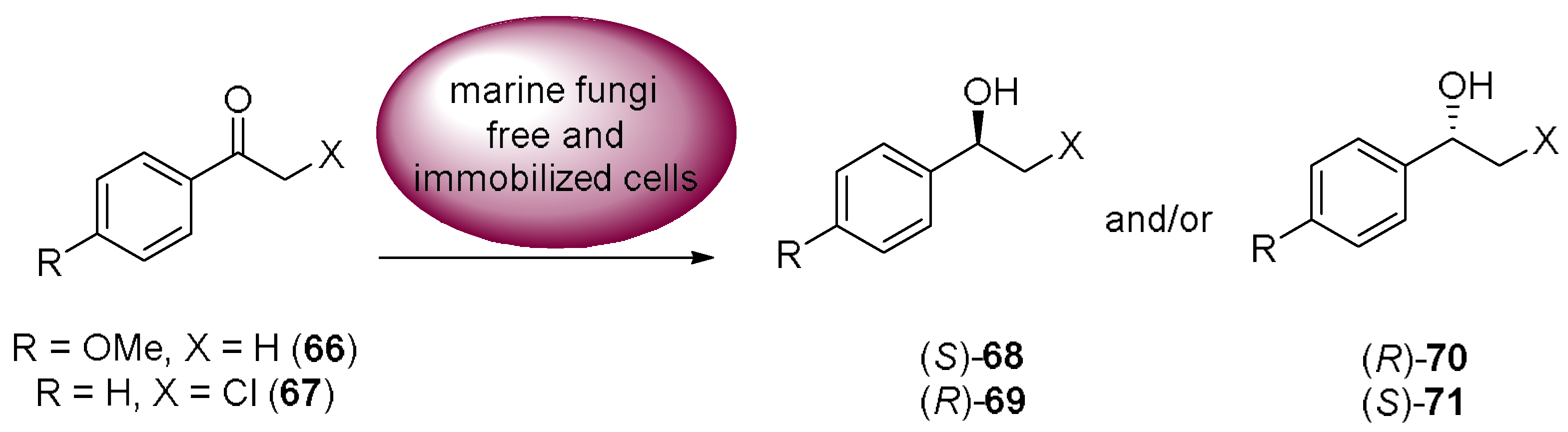 Molecules 23 01265 sch018 Molecules 23 01265 sch018