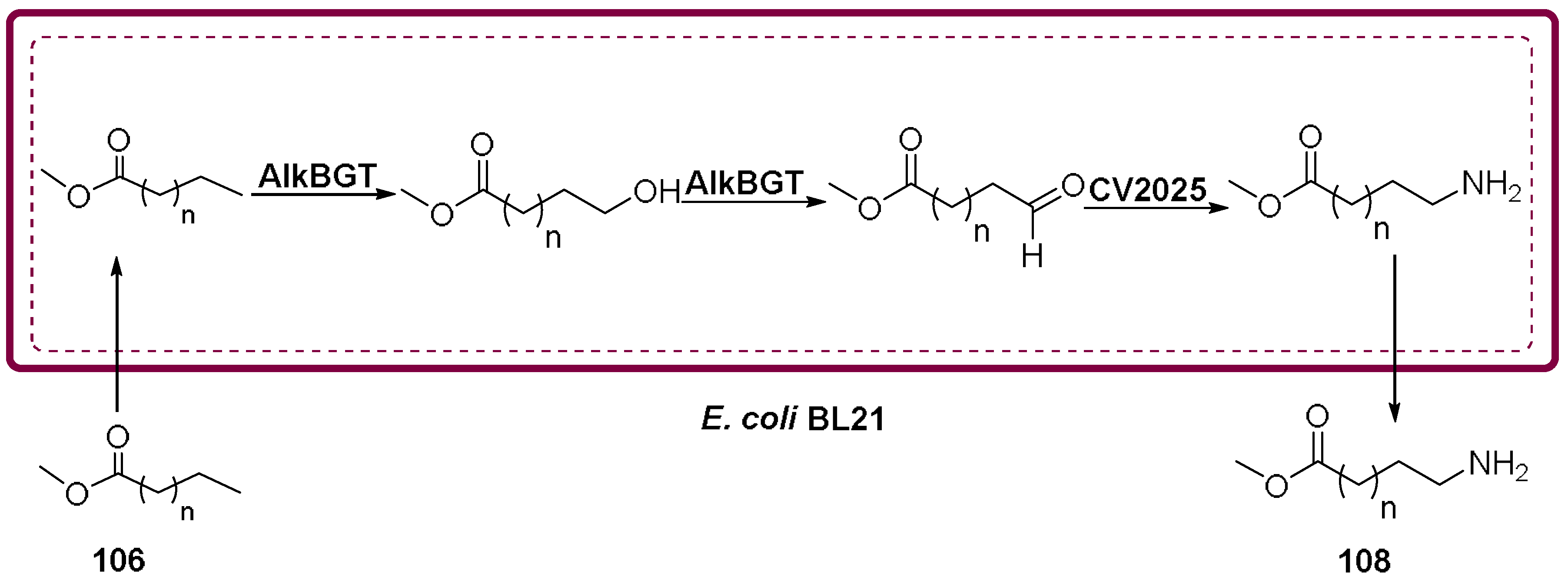Molecules 23 01265 sch033 Molecules 23 01265 sch033
