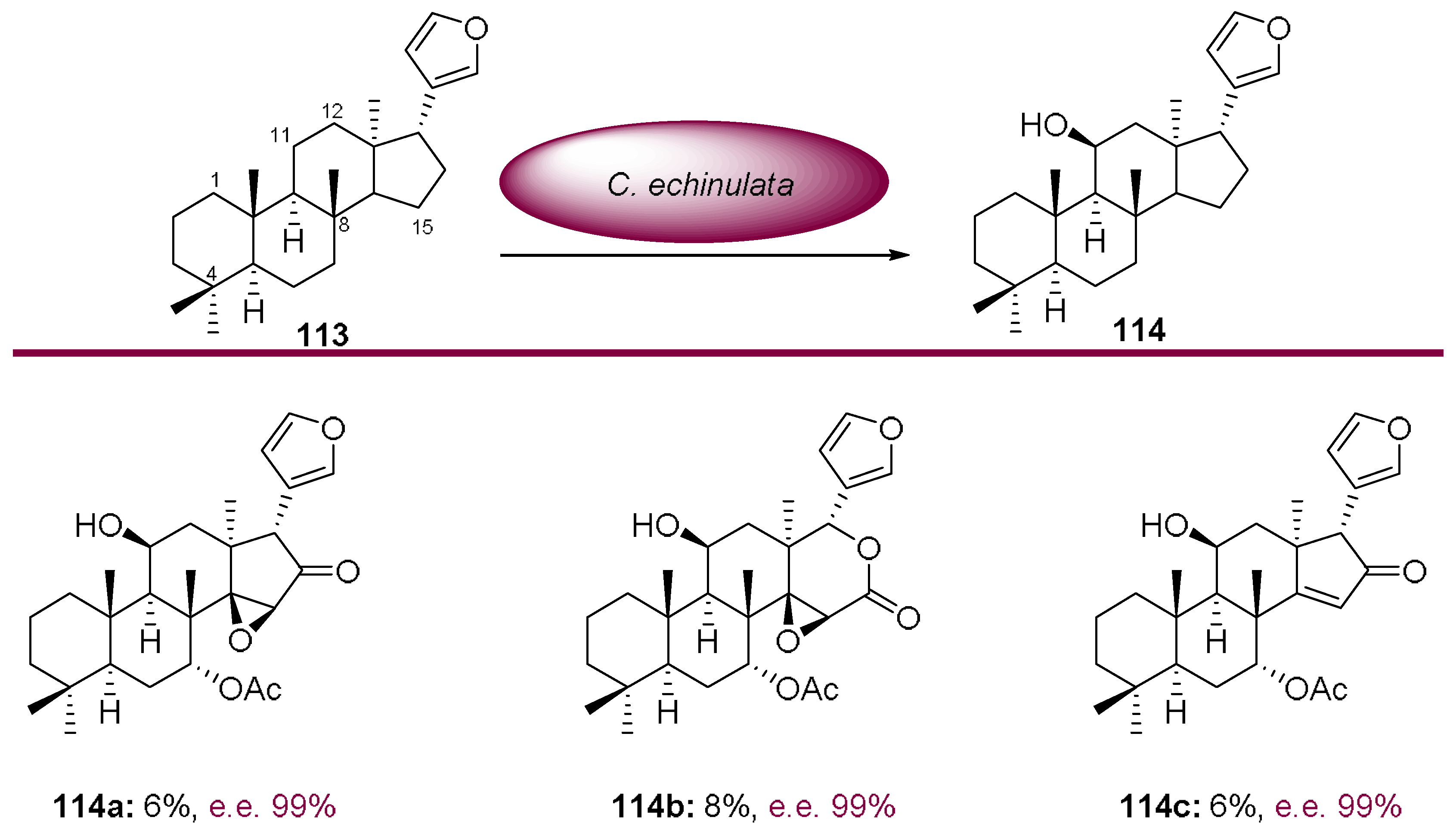Molecules 23 01265 sch036 Molecules 23 01265 sch036