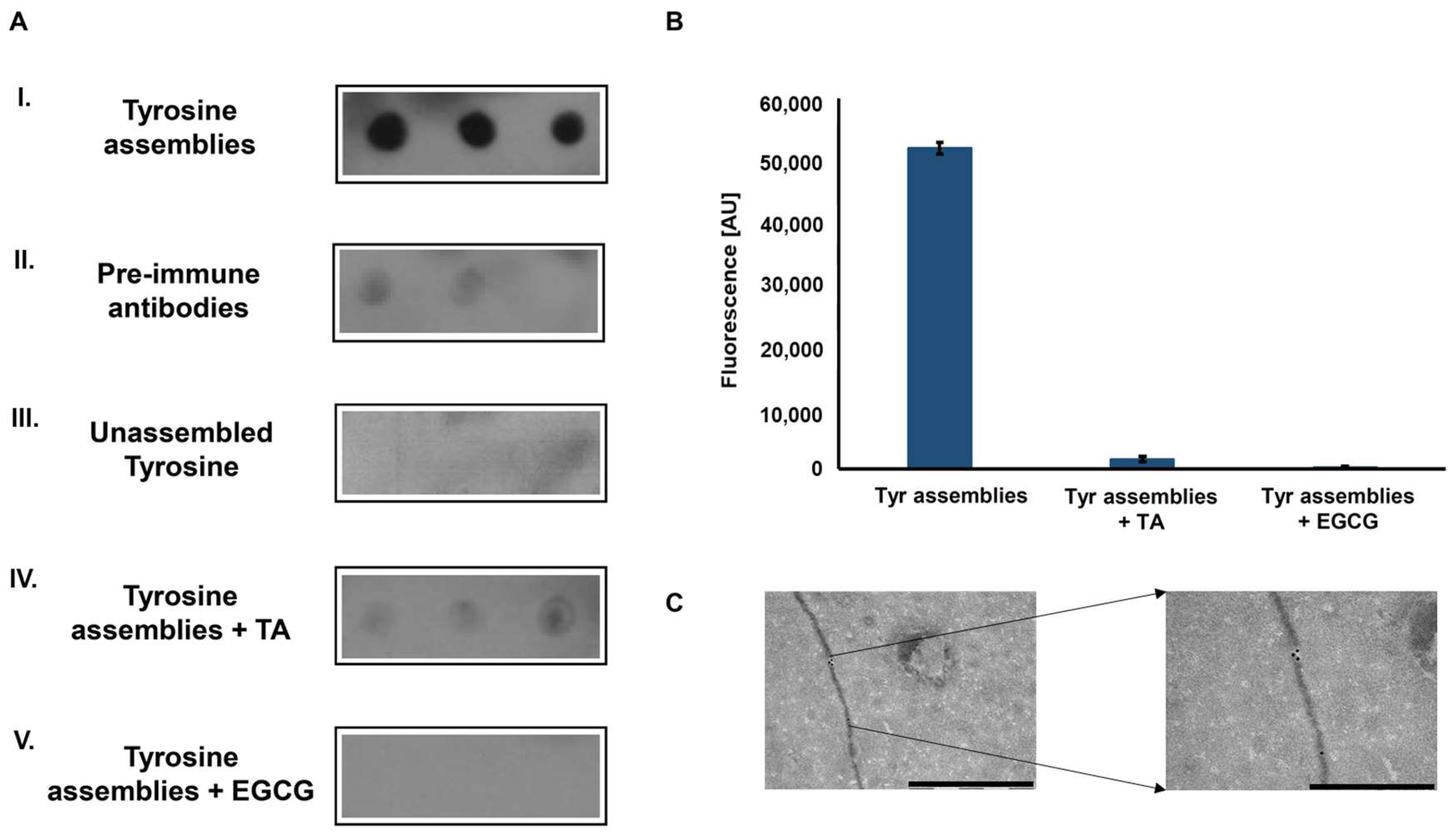 Molecules 23 01273 g002
