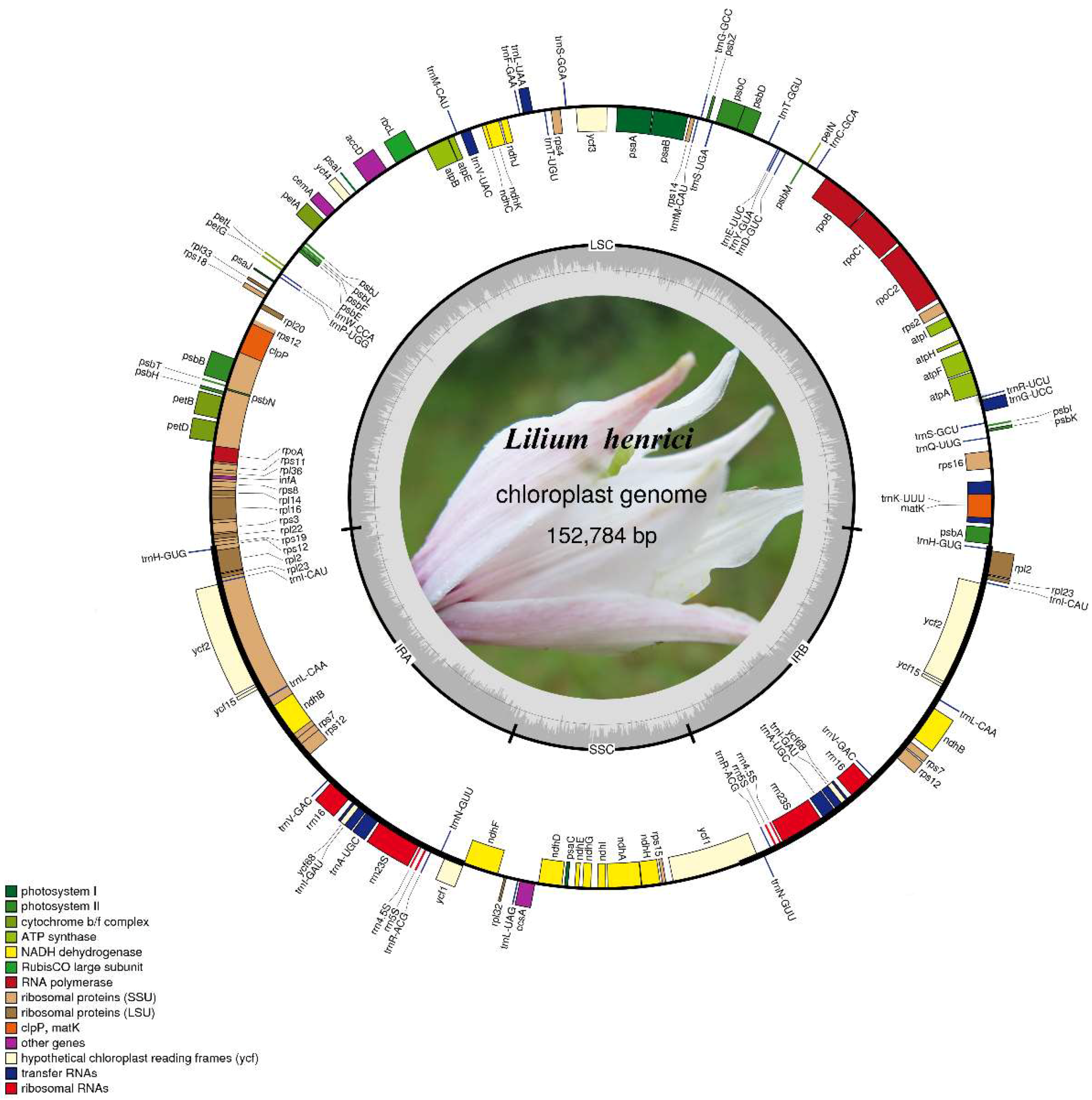 Molecules 23 01276 g001