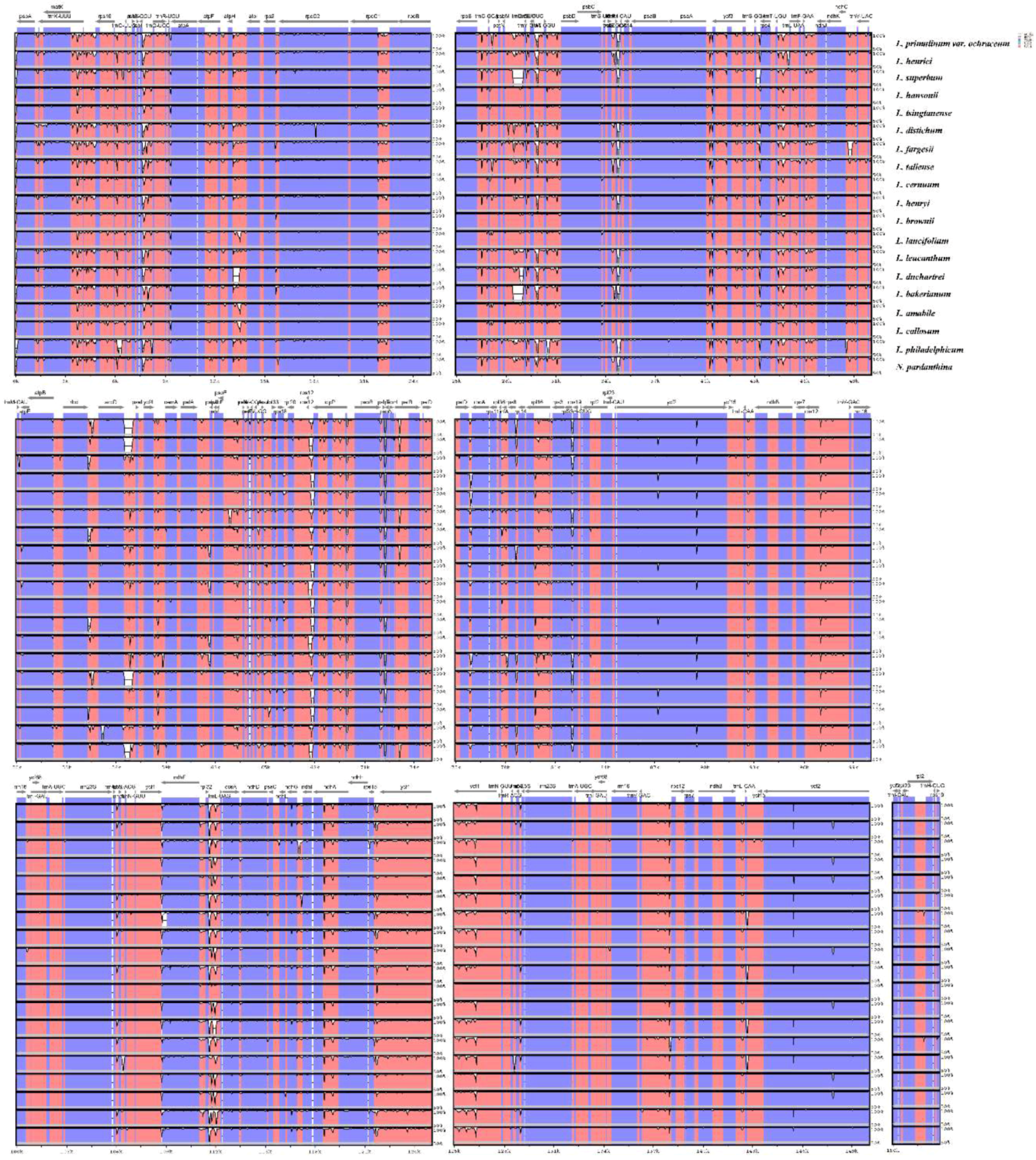 Molecules 23 01276 g003