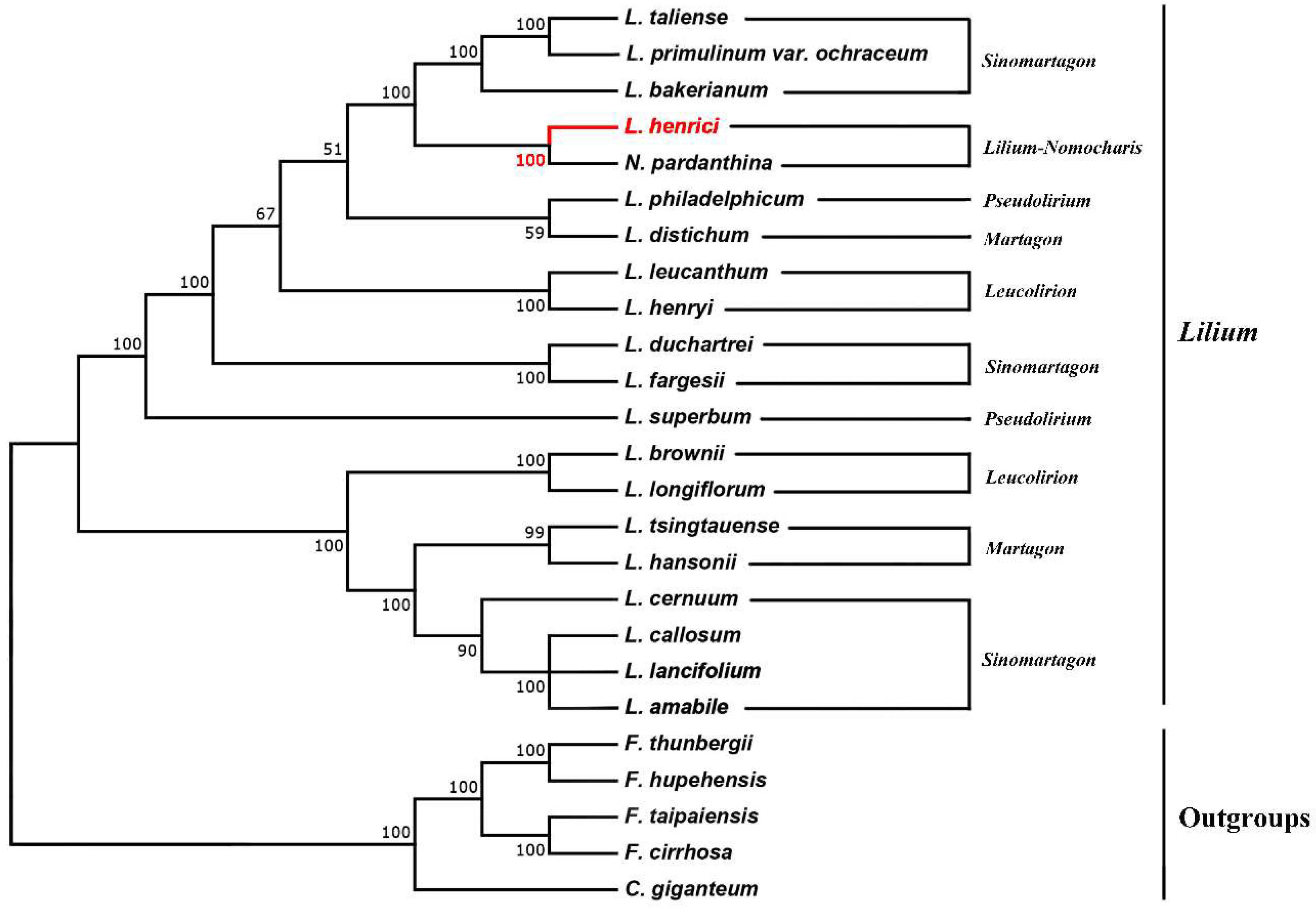 Molecules 23 01276 g004