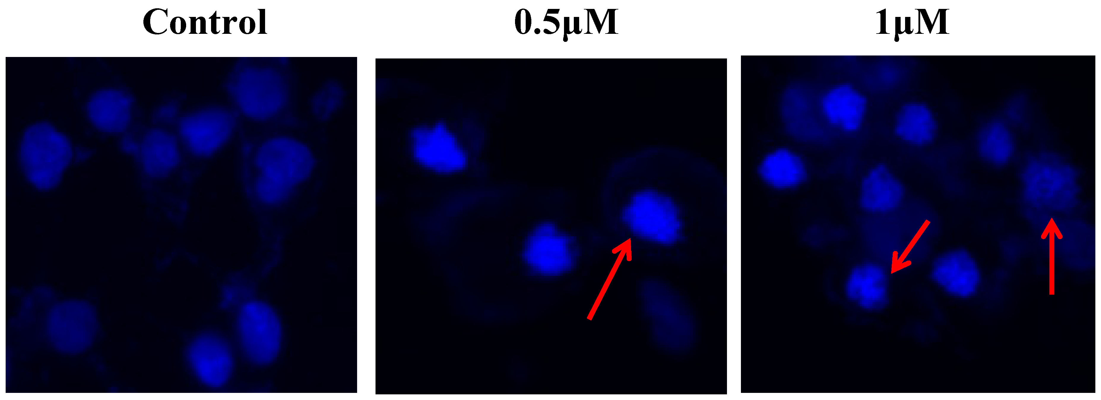 Molecules 23 01288 g006