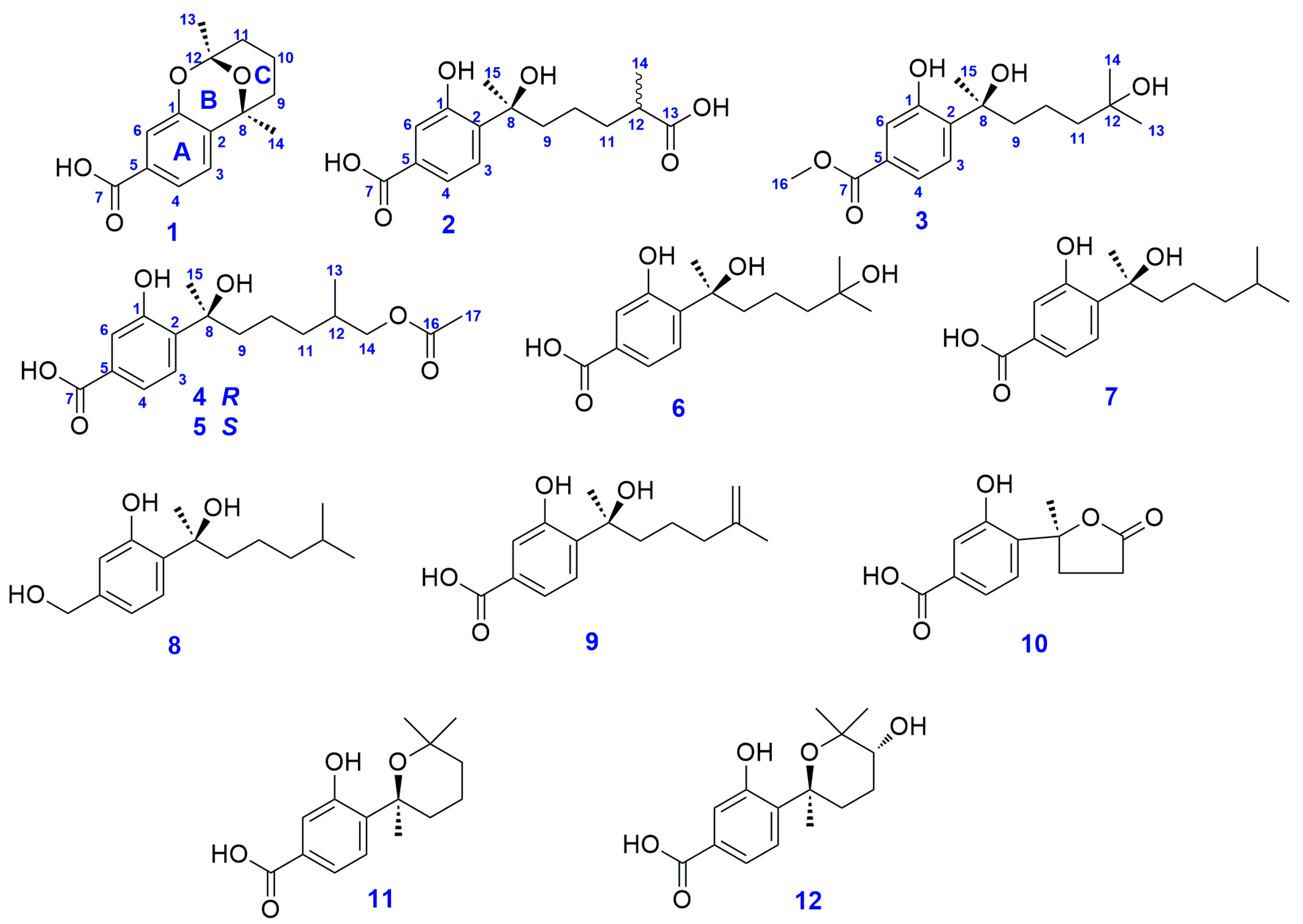 Molecules 23 01291 g001