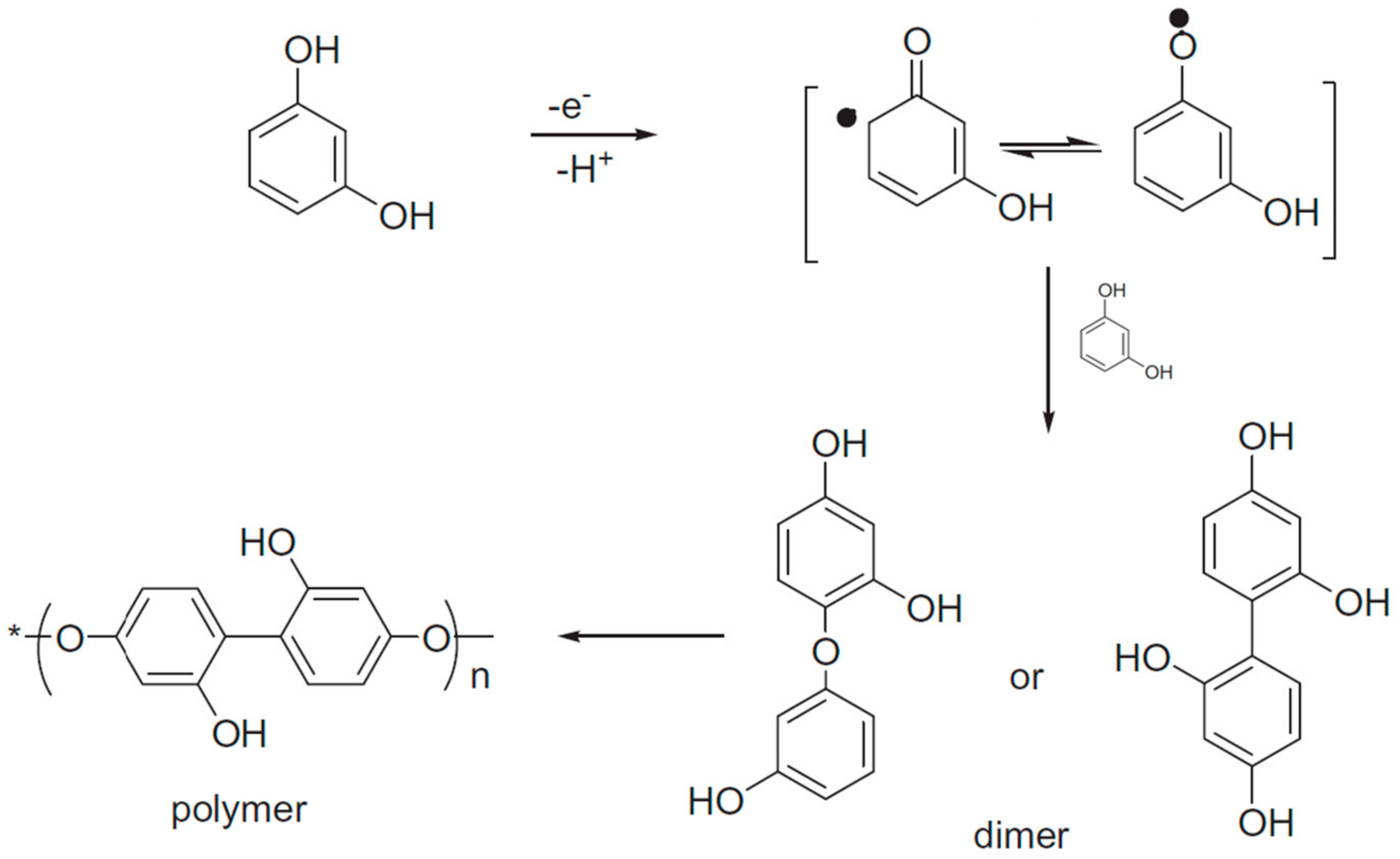 Molecules 23 01293 sch002