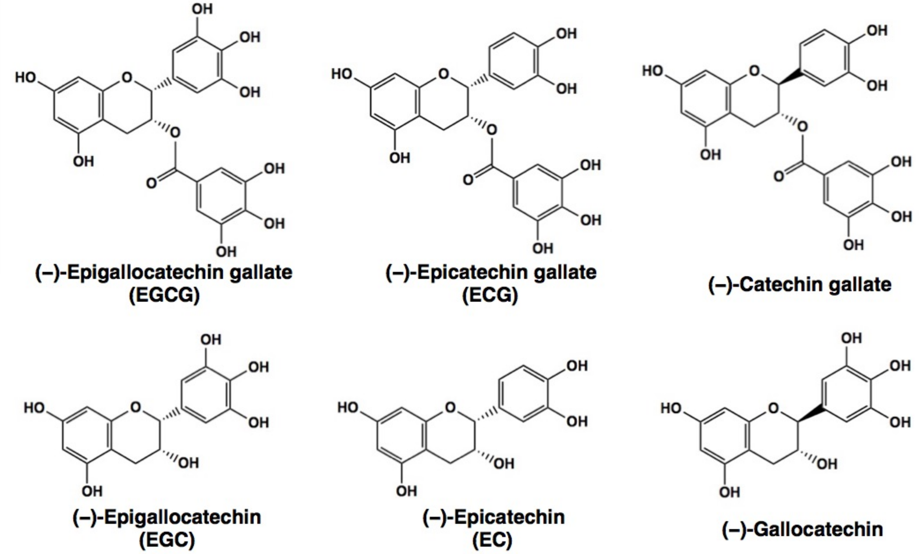 Molecules 23 01295 g001