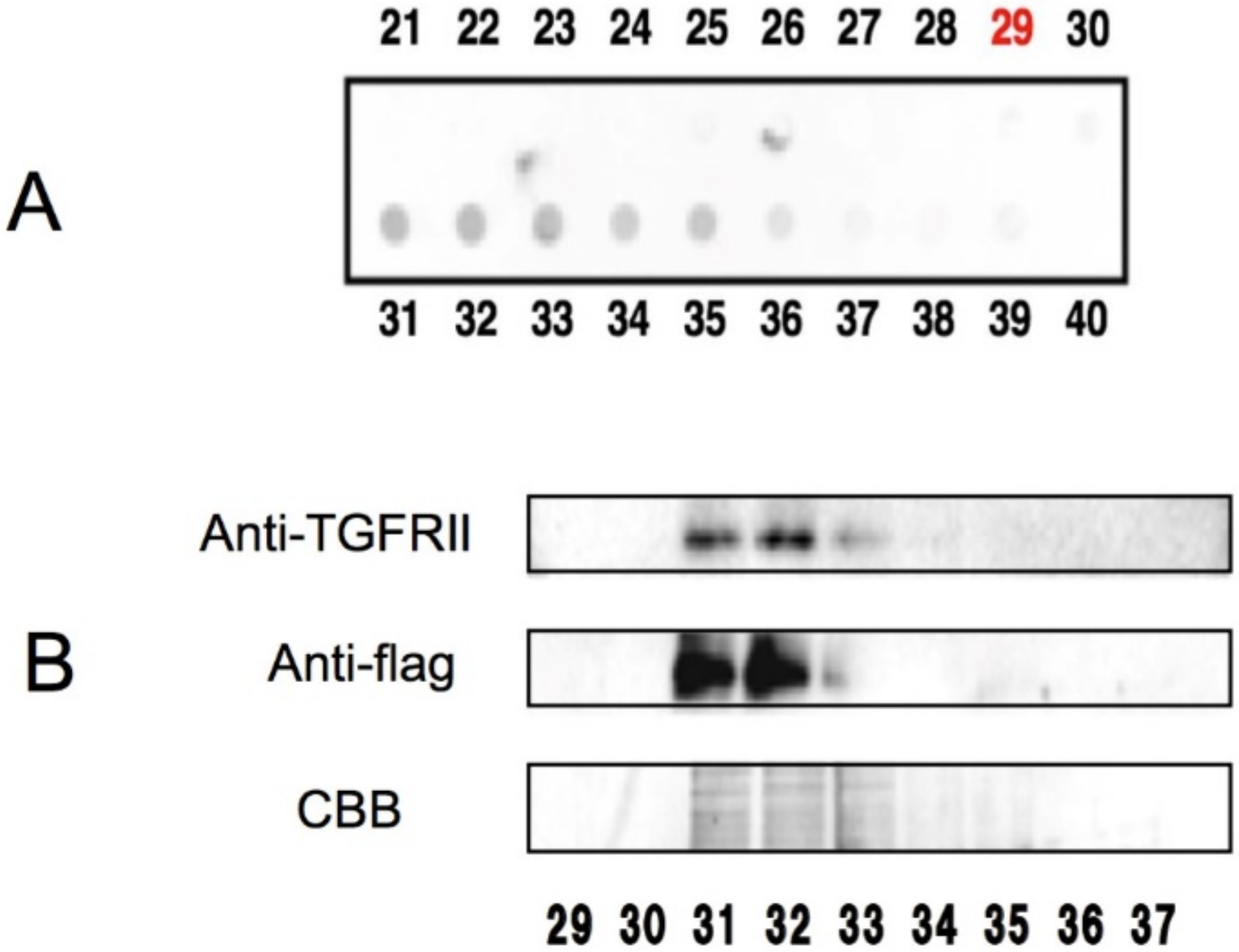 Molecules 23 01295 g002