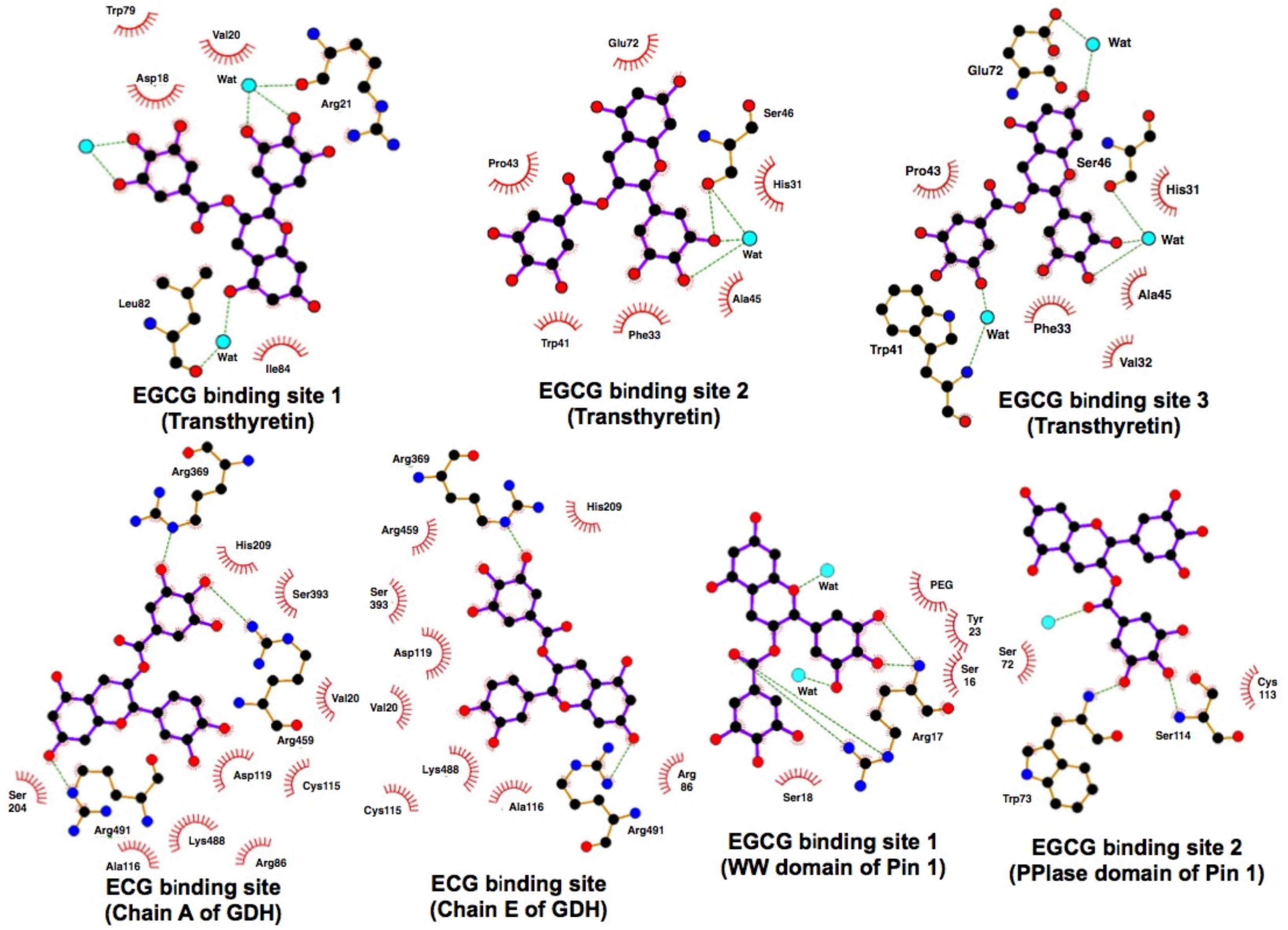 Molecules 23 01295 g004