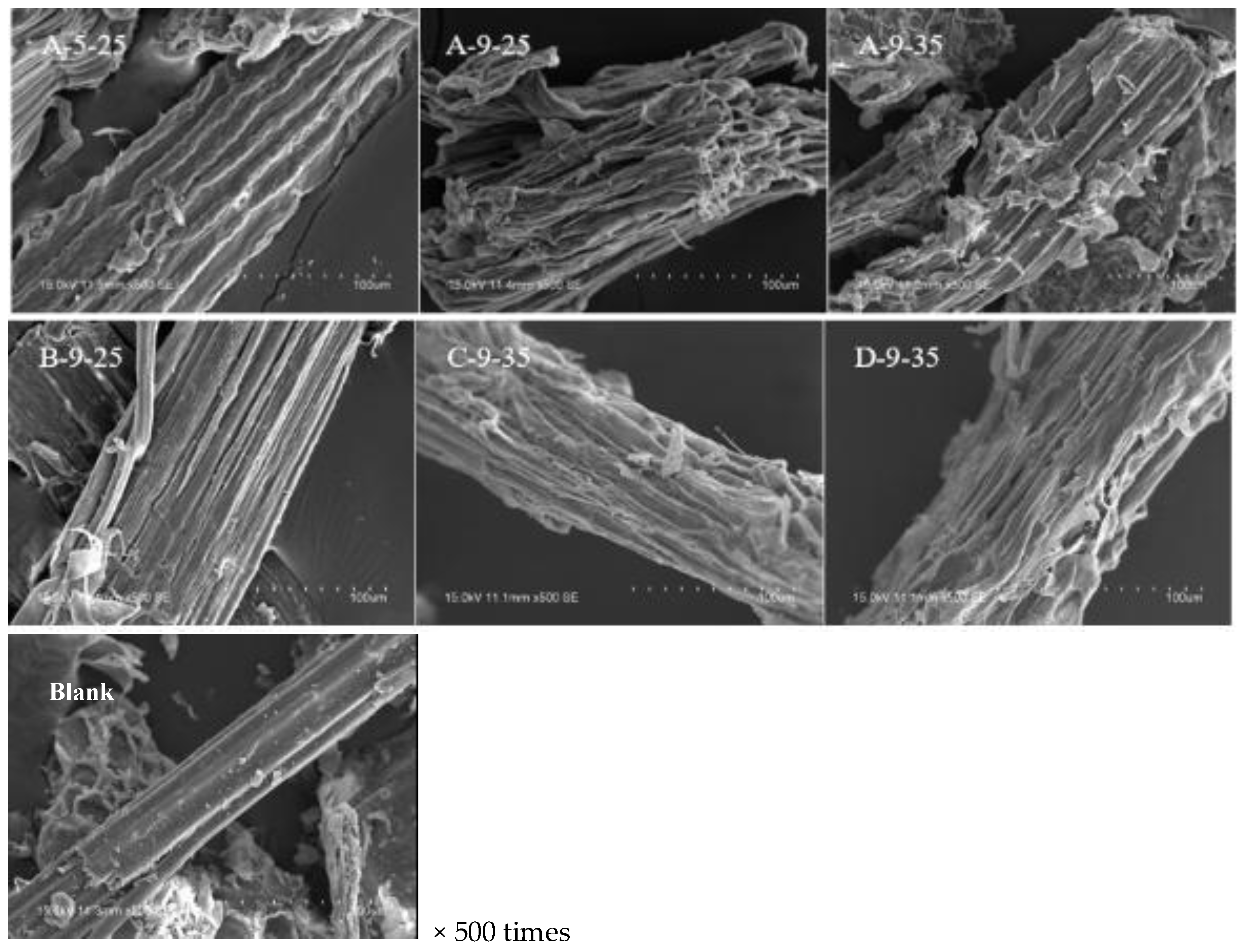 Molecules 23 01300 g002