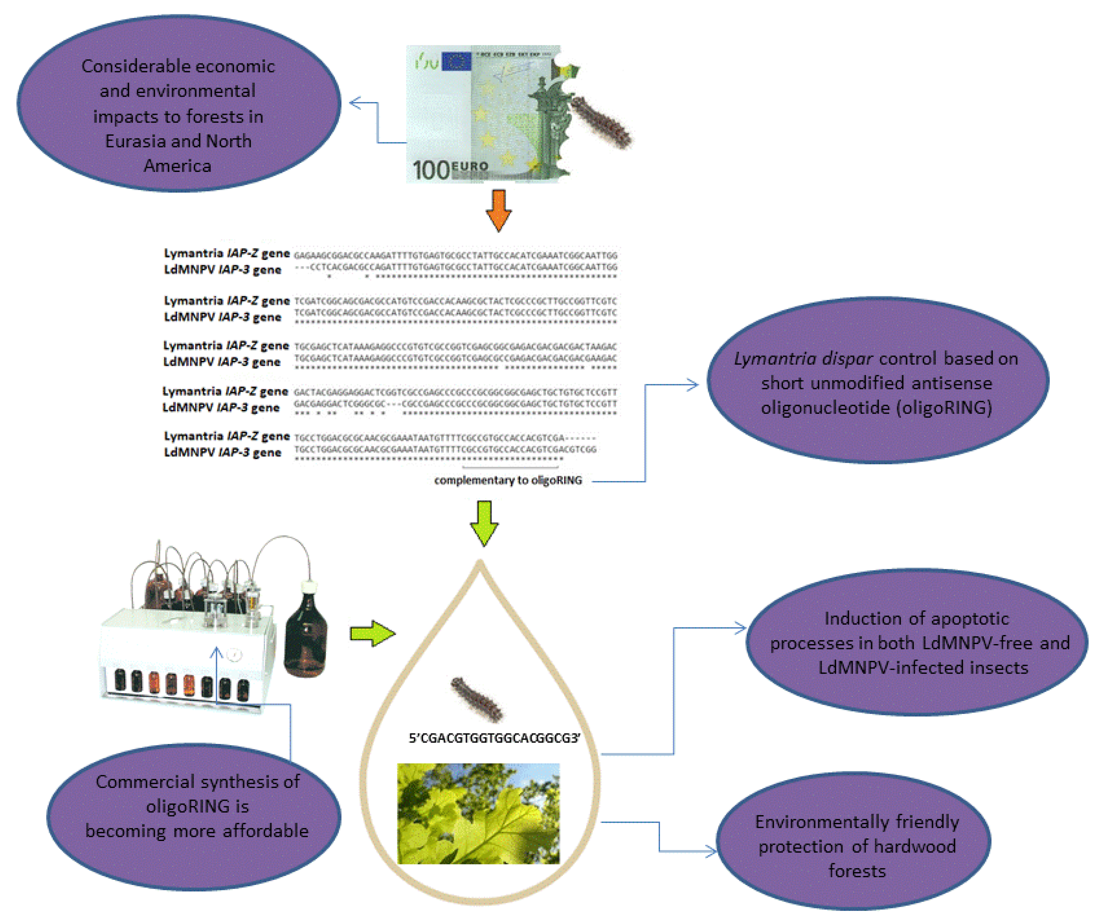 Molecules 23 01302 g004