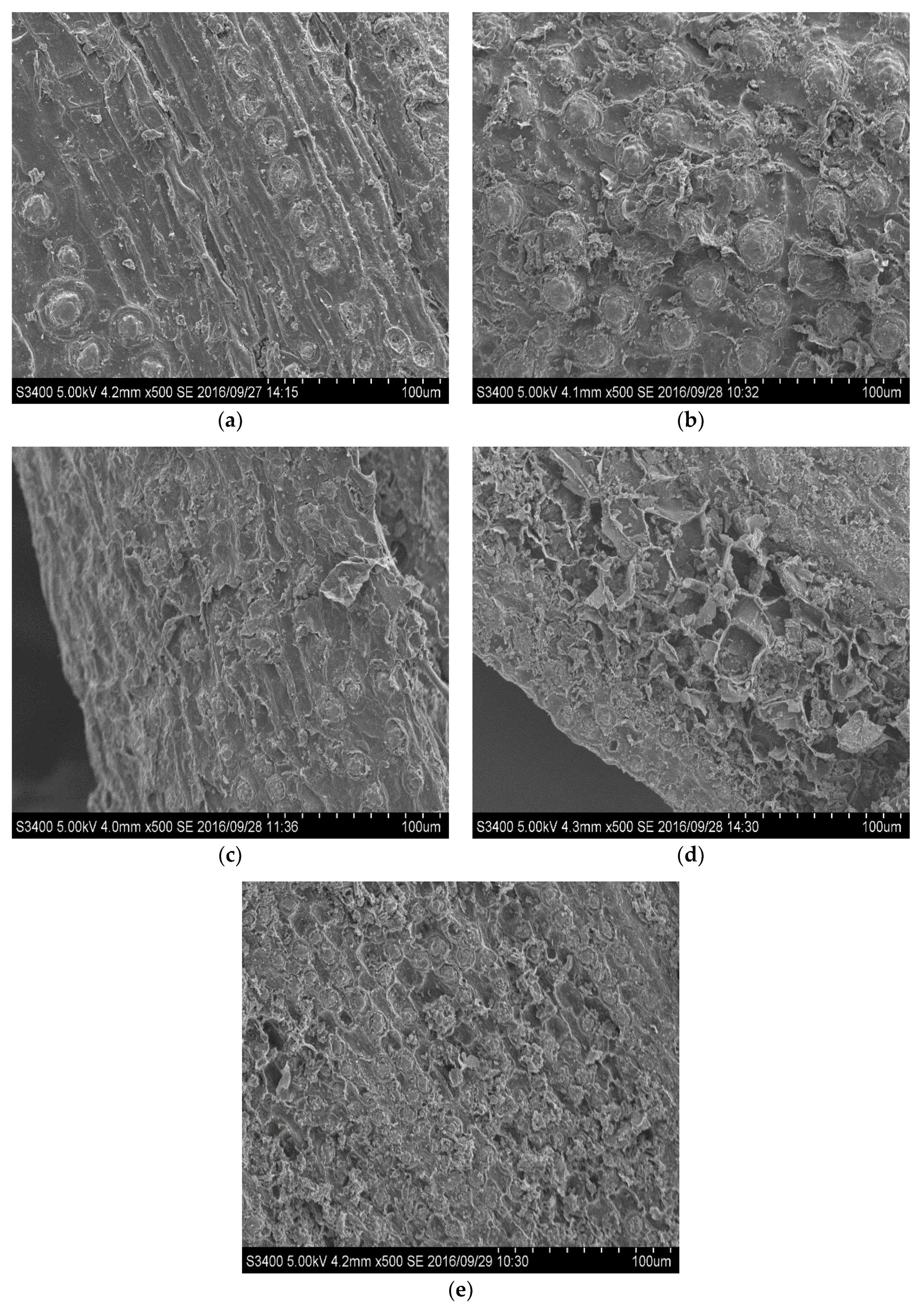 Molecules 23 01310 g002 Molecules 23 01310 g002