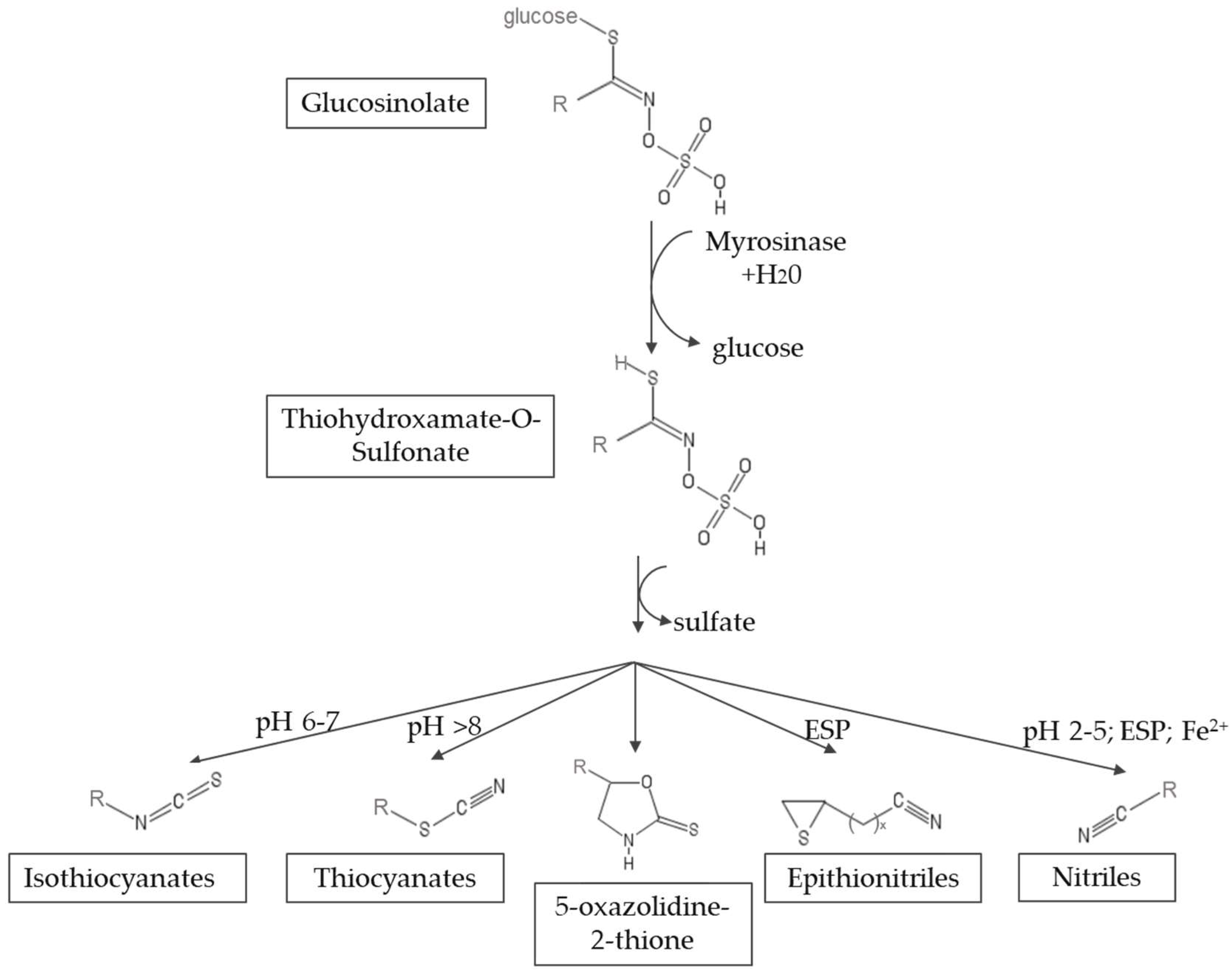 Molecules 23 01313 g002
