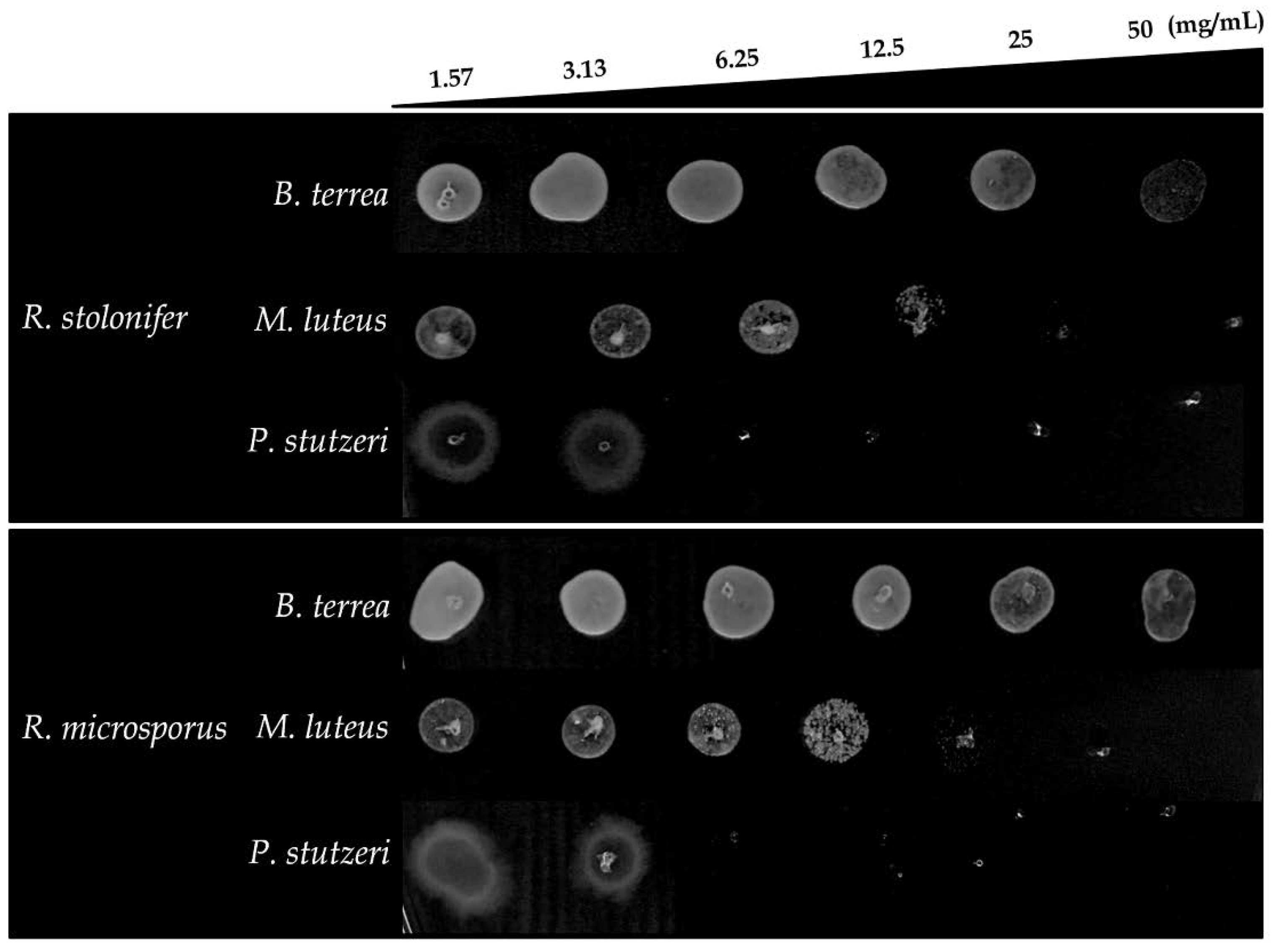 Molecules 23 01331 g003