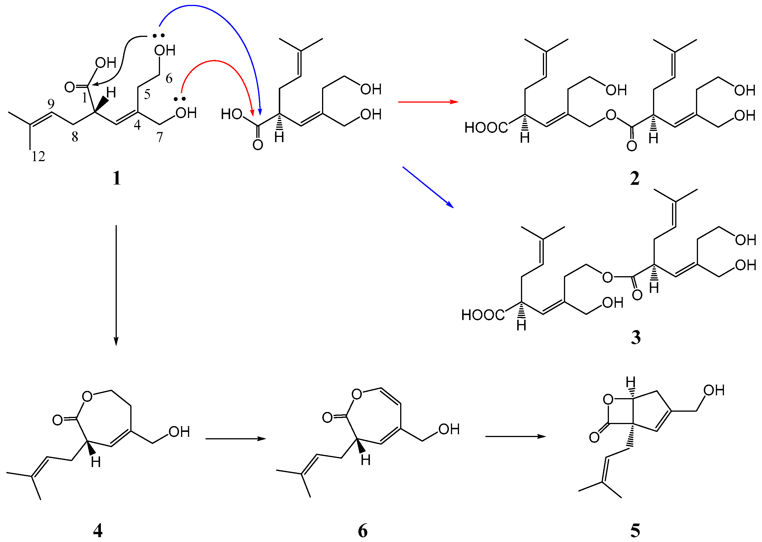 Molecules 23 01336 sch001 Molecules 23 01336 sch001