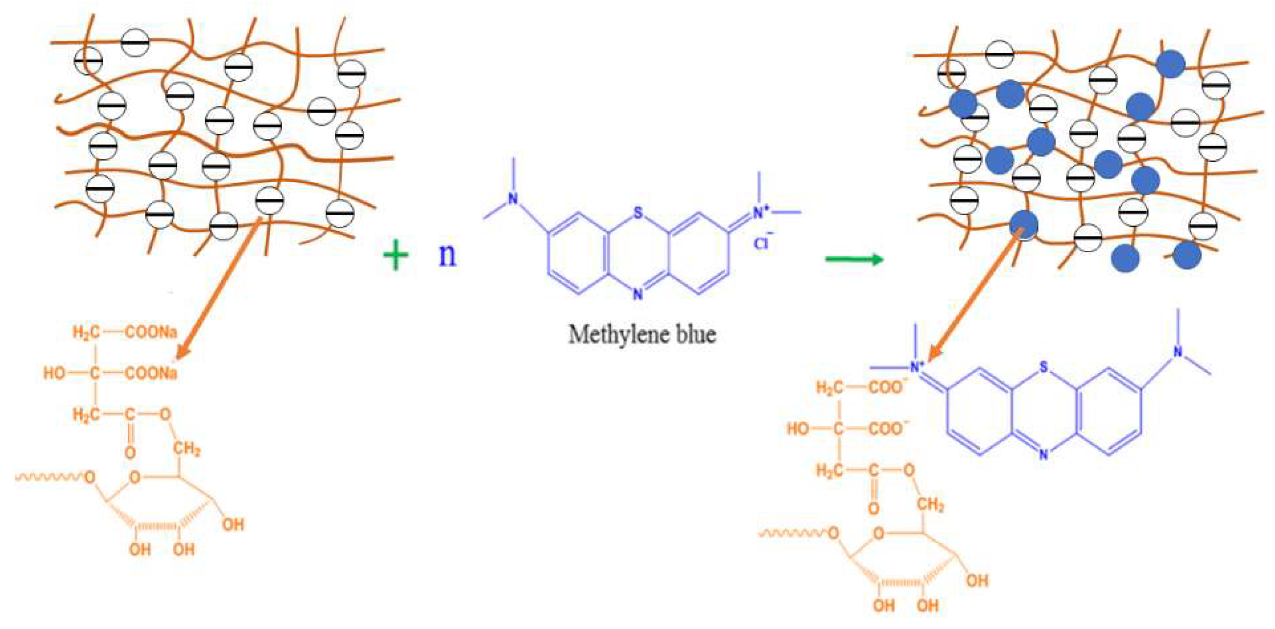Molecules 23 01342 g006