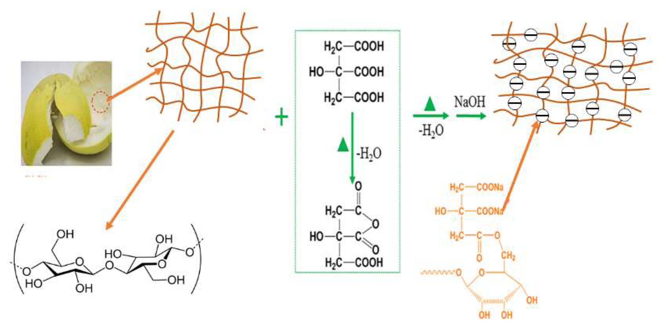Molecules 23 01342 g008