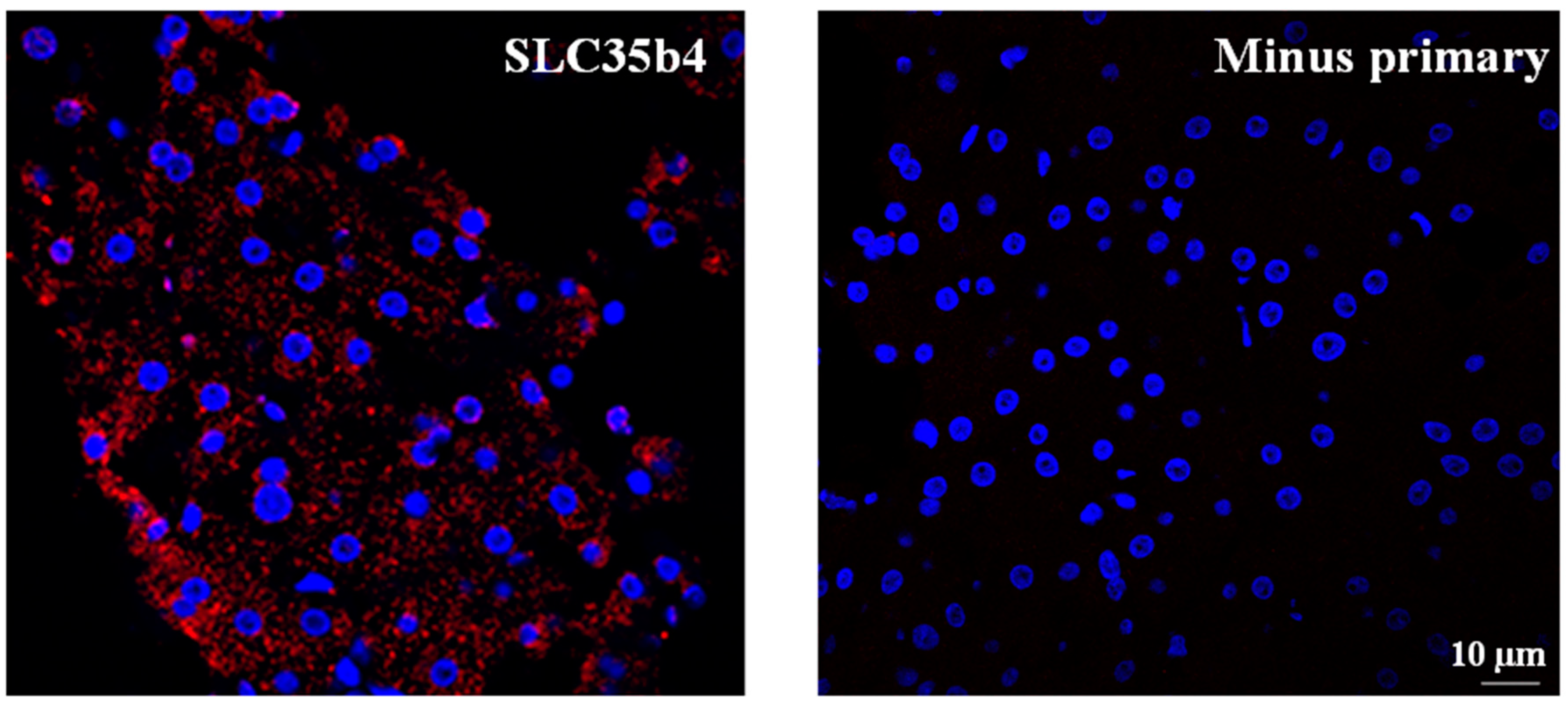 Molecules 23 01350 g005