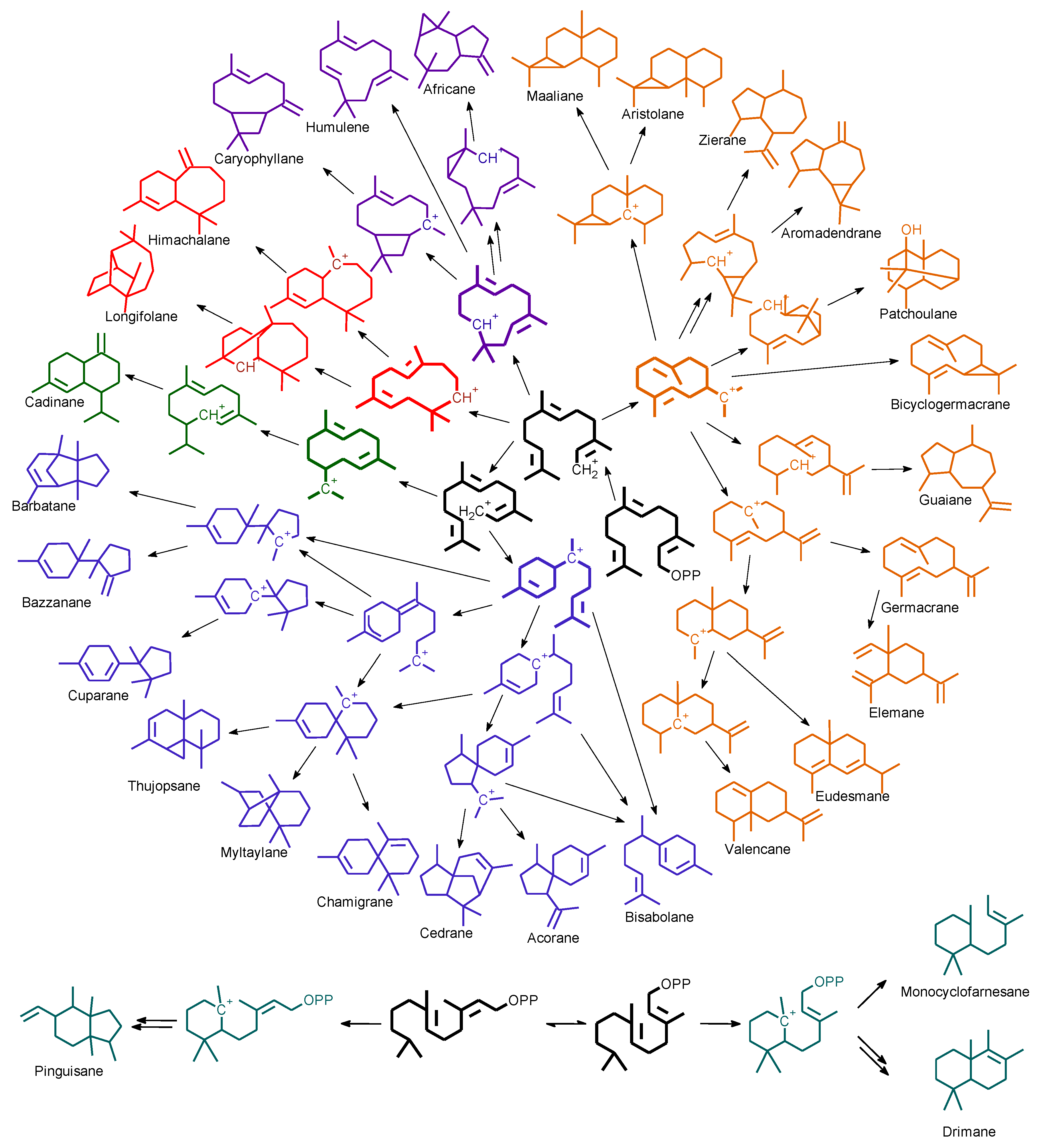 Molecules 23 01353 g003