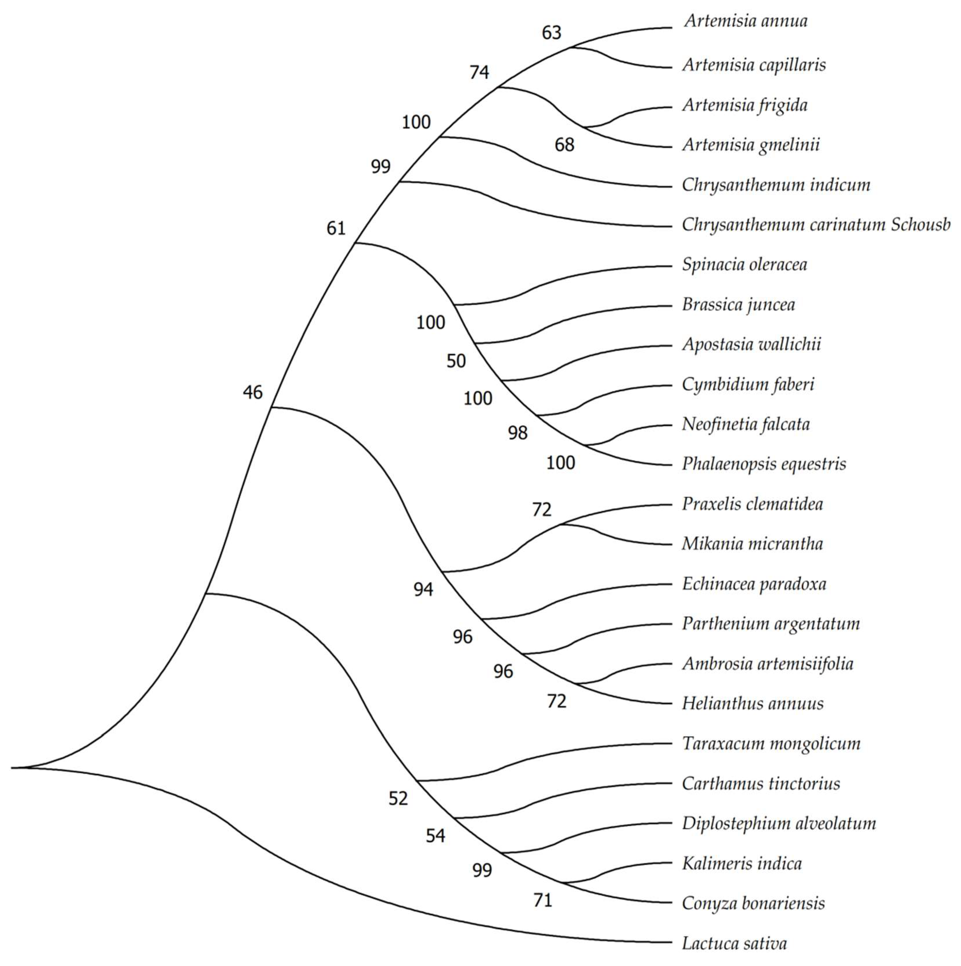 Molecules 23 01358 g005 Molecules 23 01358 g005
