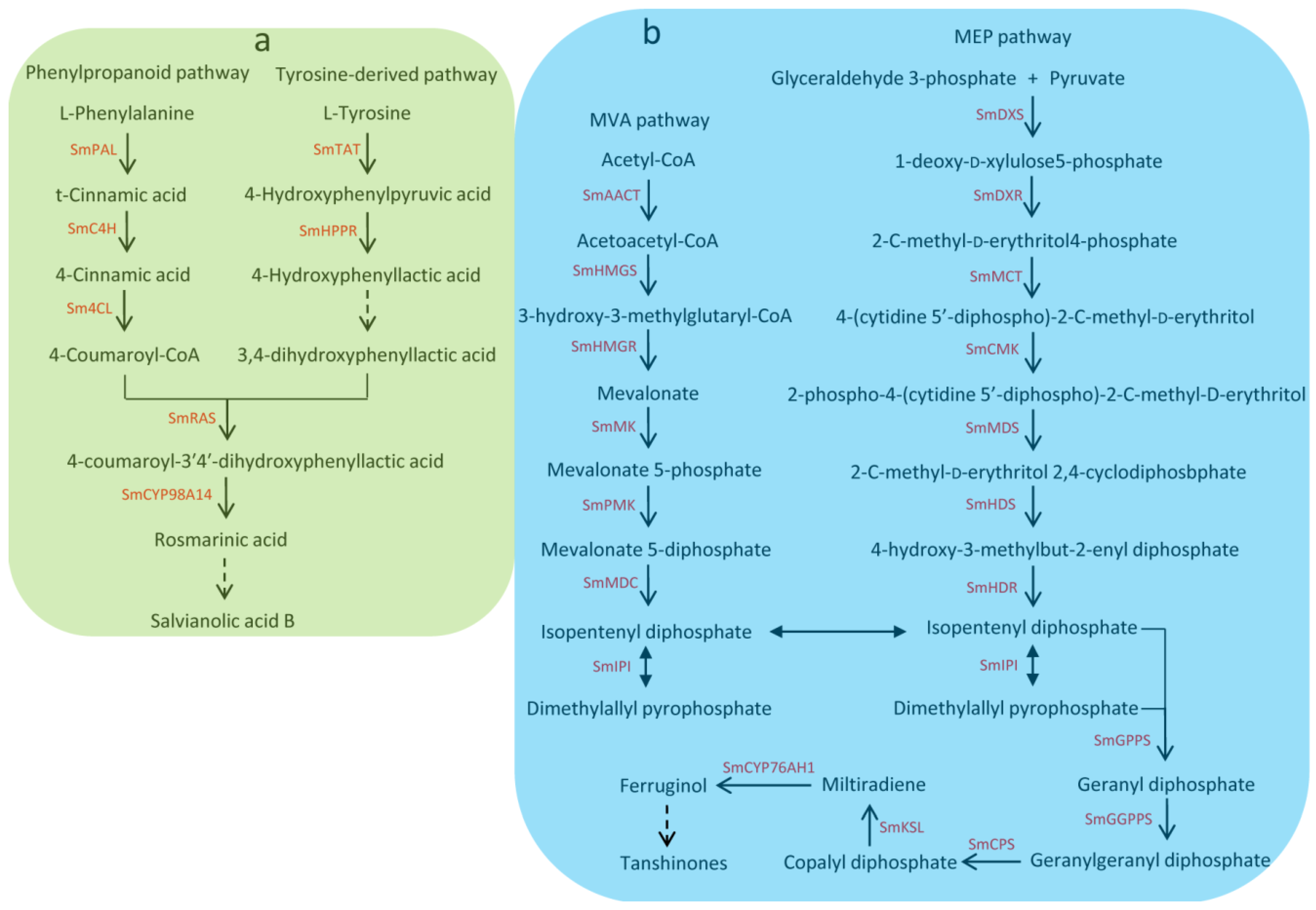 Molecules 23 01364 g001