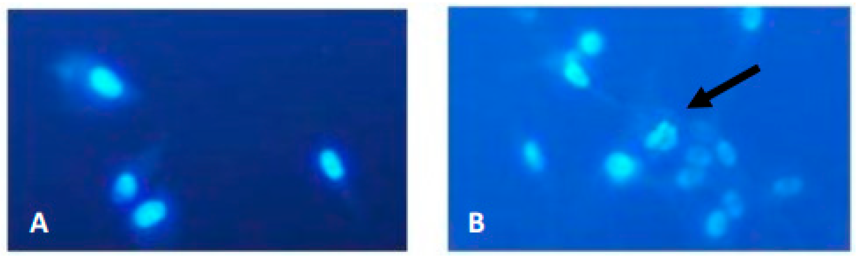 Molecules 23 01382 g003 Molecules 23 01382 g003
