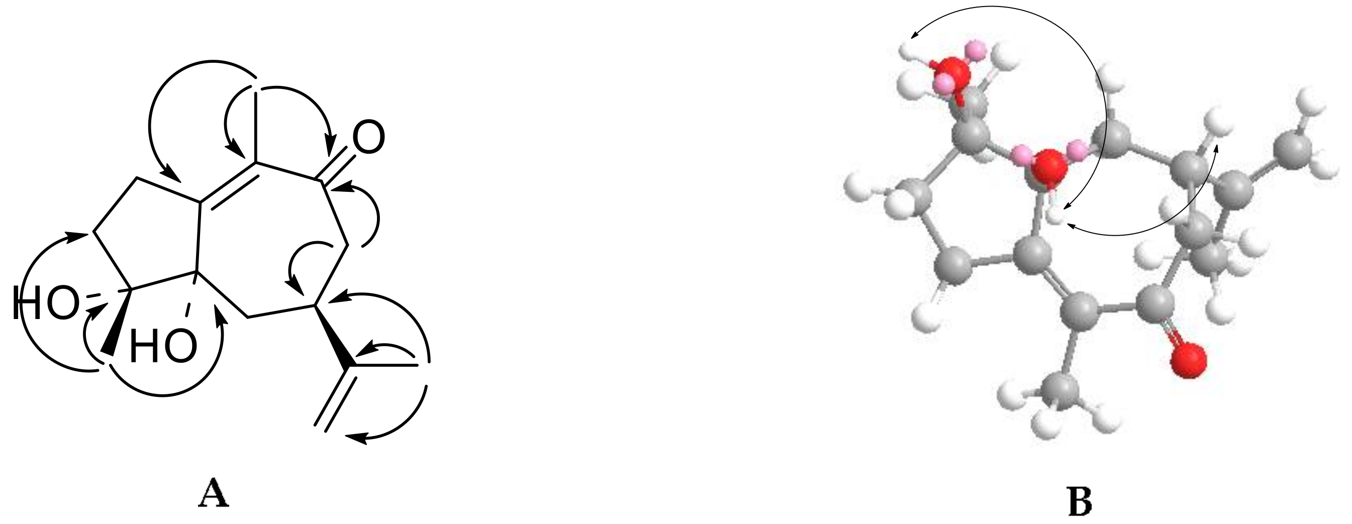 Molecules 23 01383 g002 Molecules 23 01383 g002