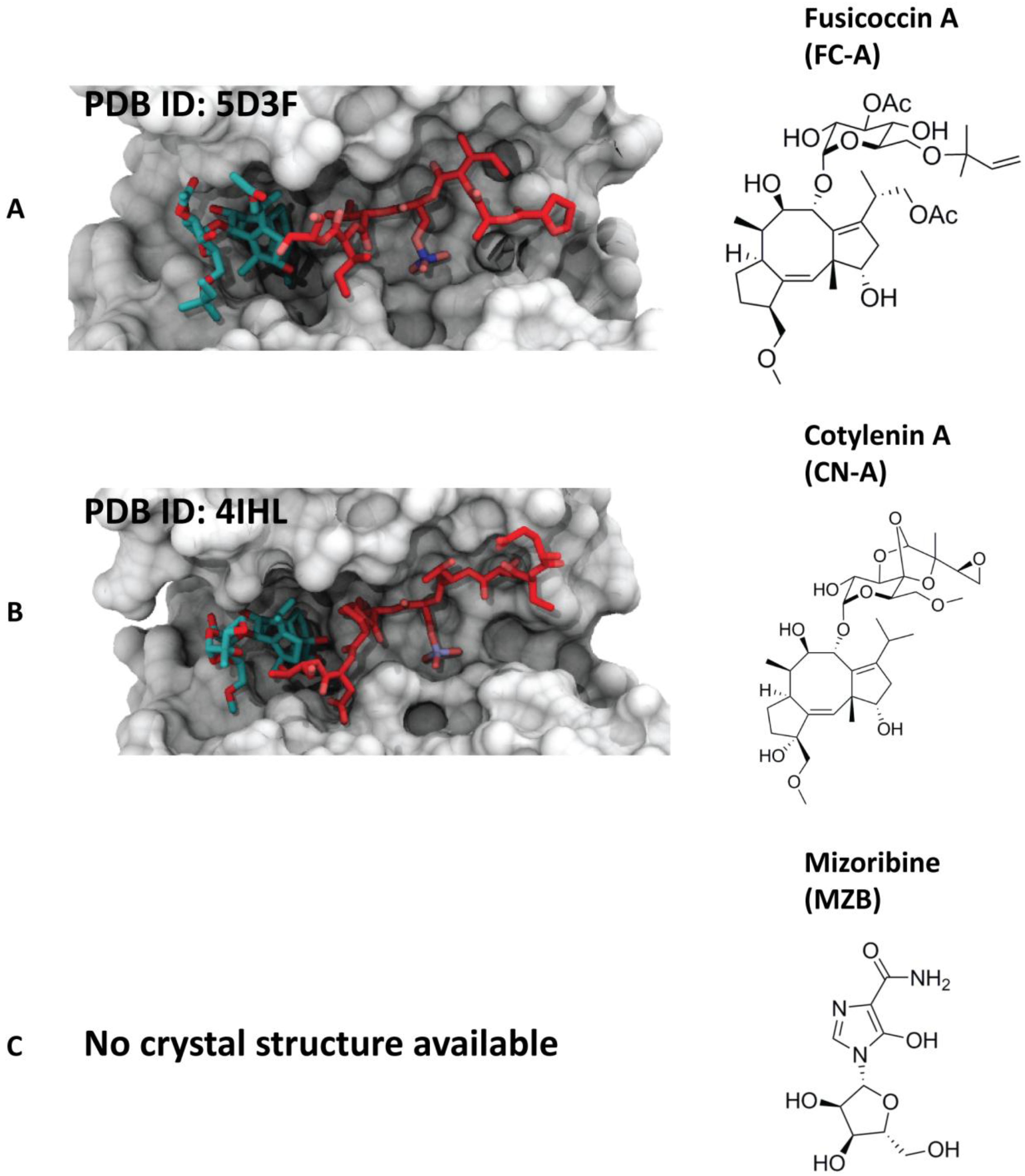 Molecules 23 01386 g004