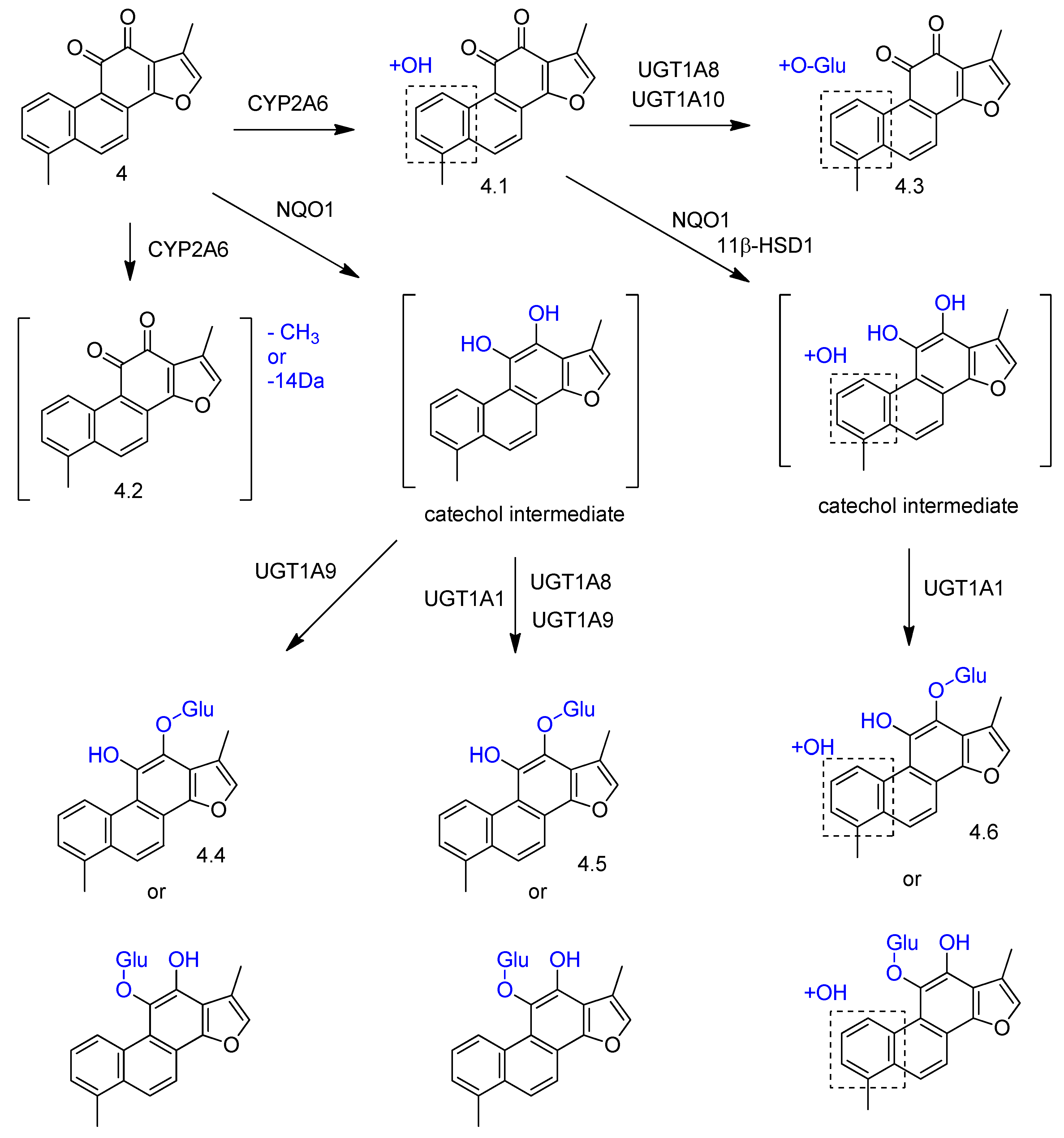 Molecules 23 01387 g007 Molecules 23 01387 g007