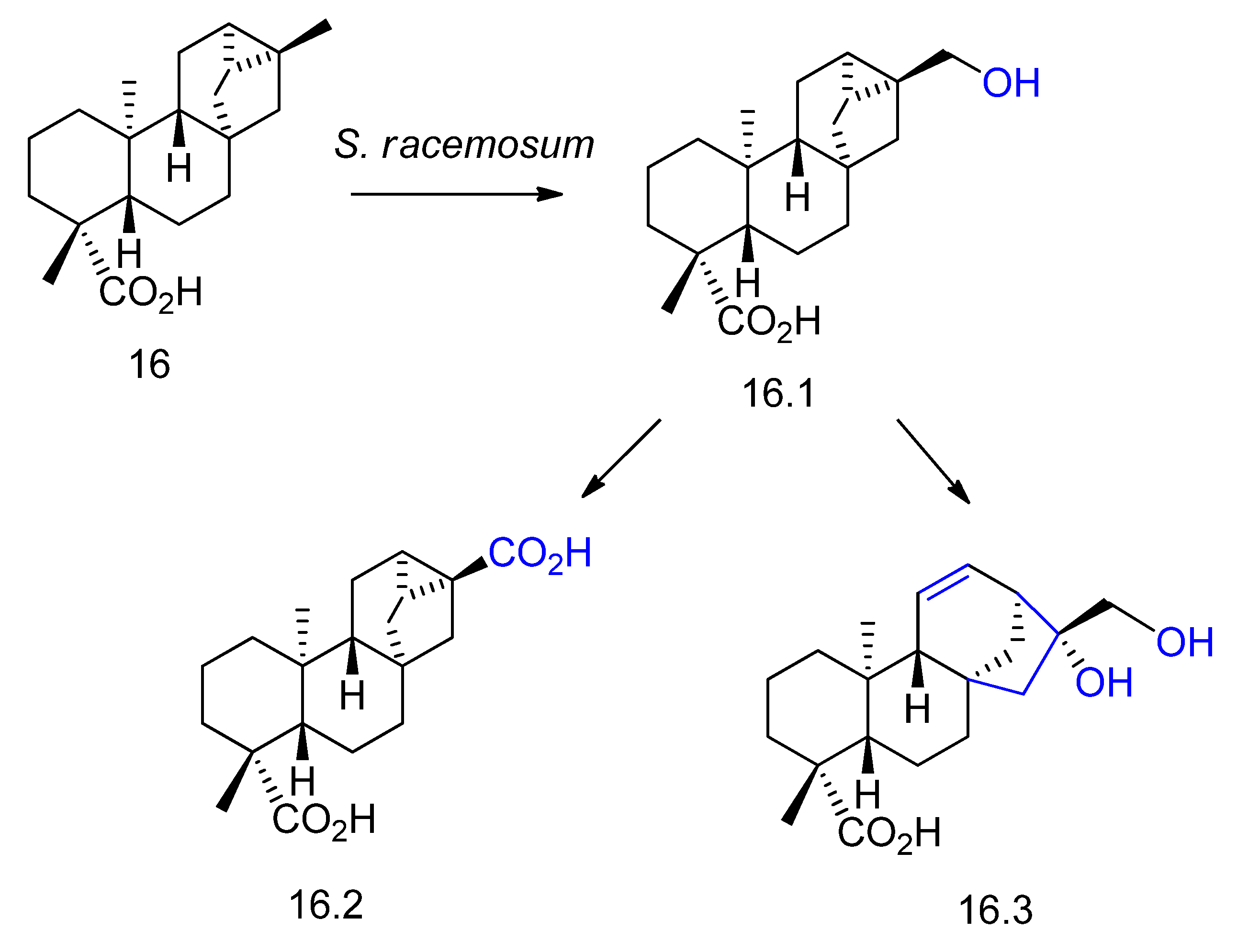 Molecules 23 01387 g017 Molecules 23 01387 g017