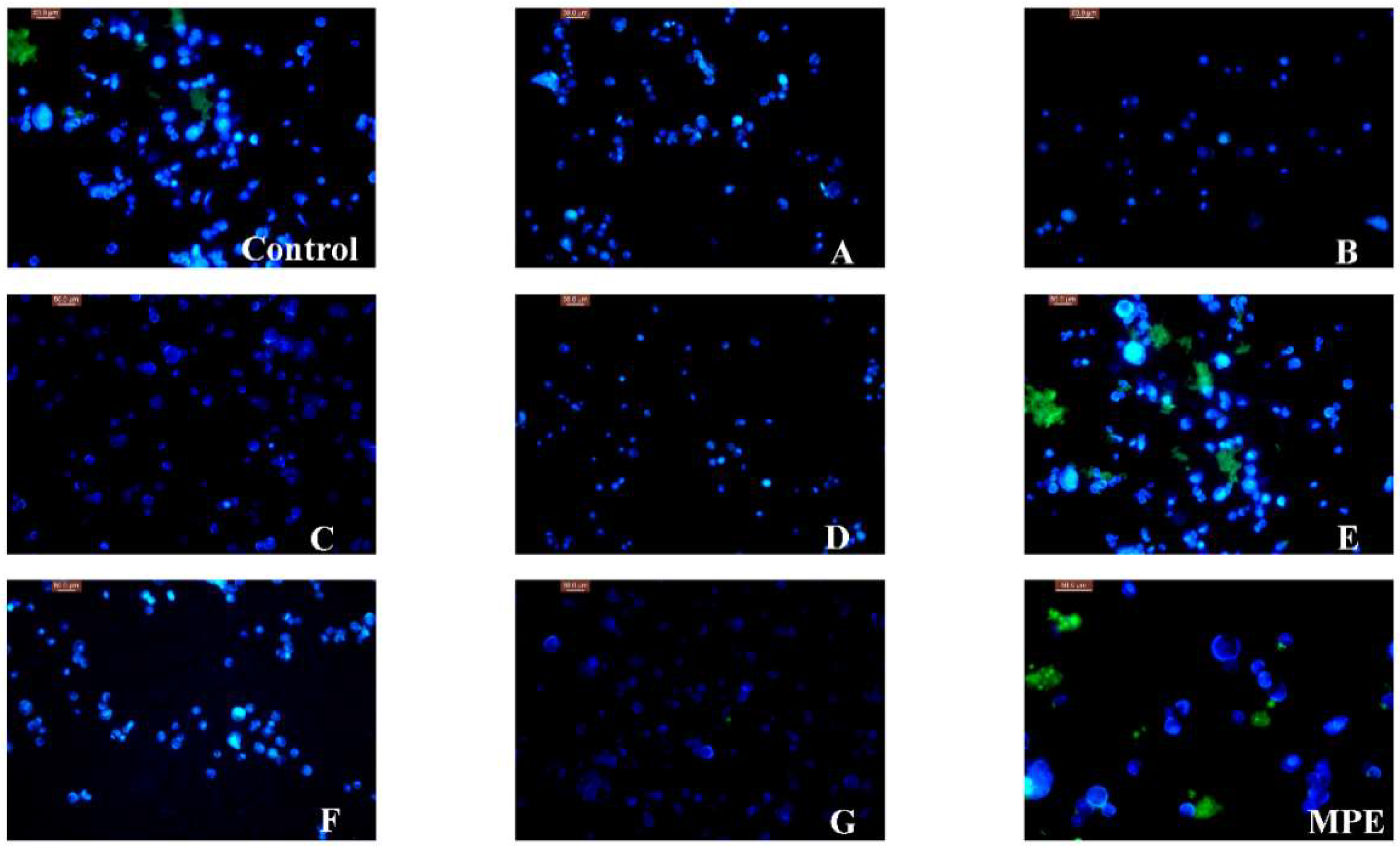 Molecules 23 01395 g003 Molecules 23 01395 g003