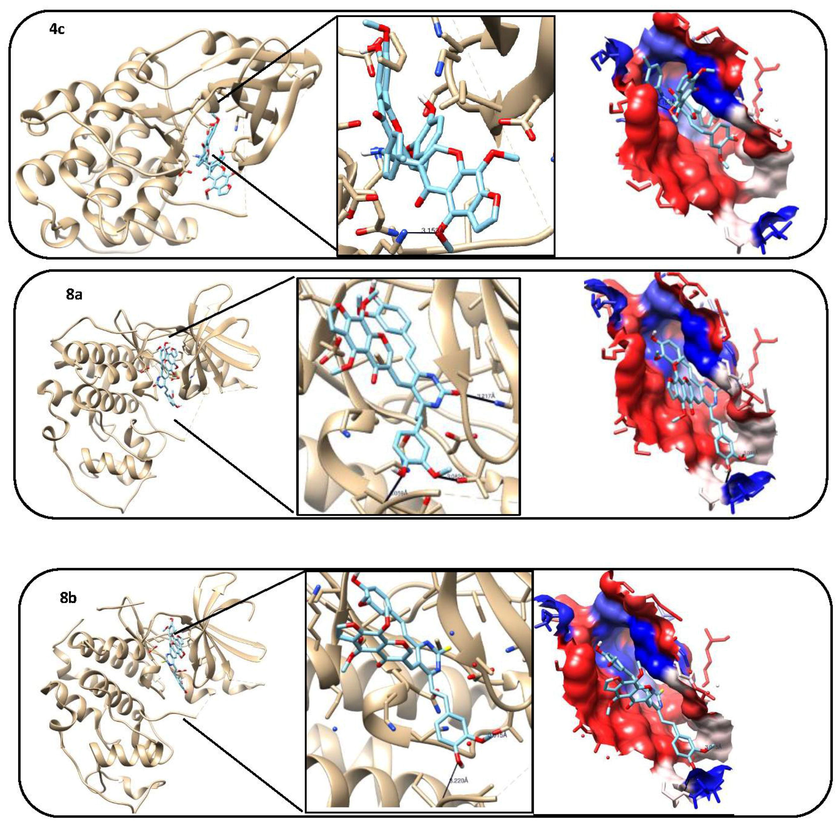 Molecules 23 01398 g005b