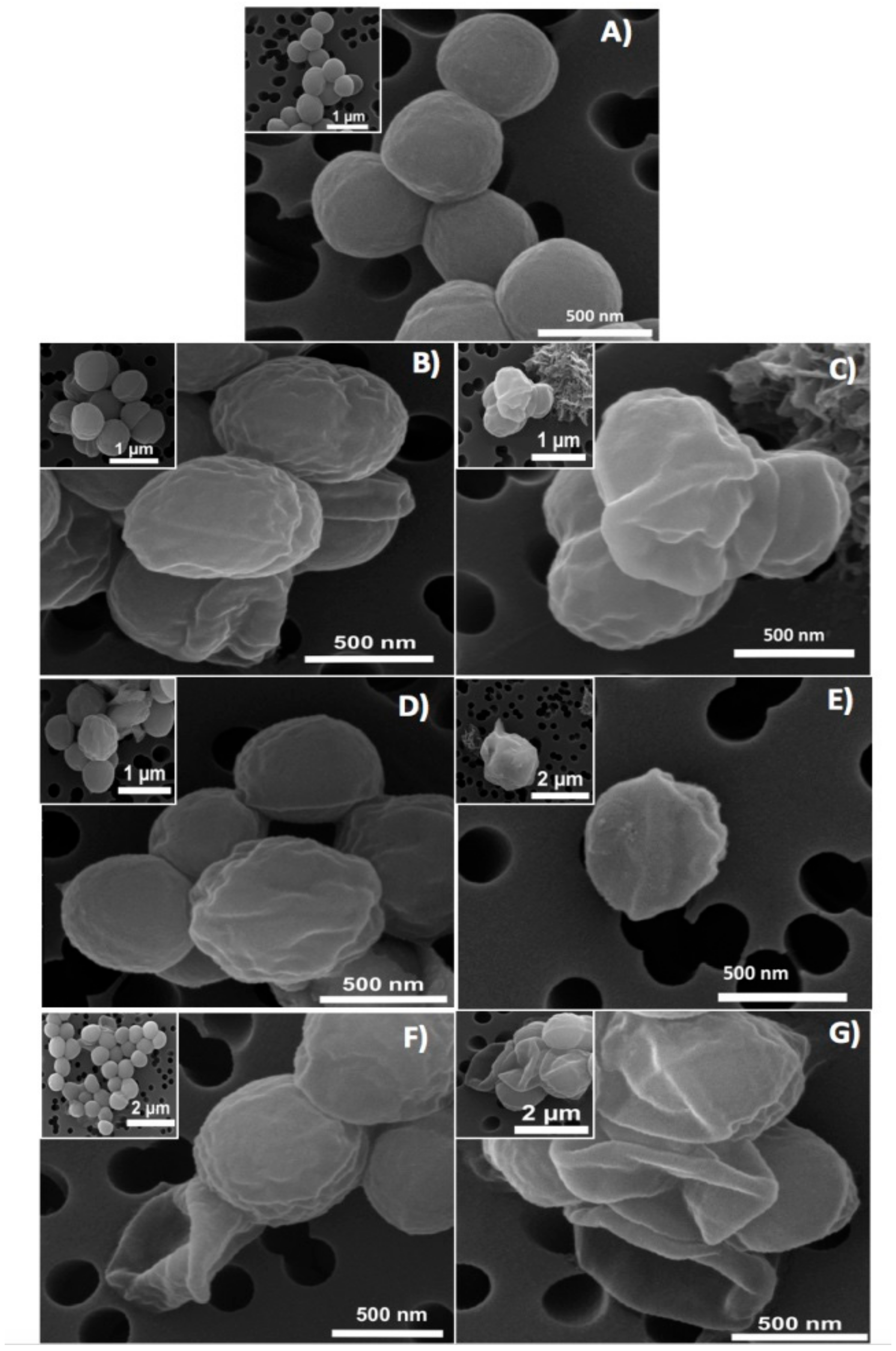 Molecules 23 01399 g001