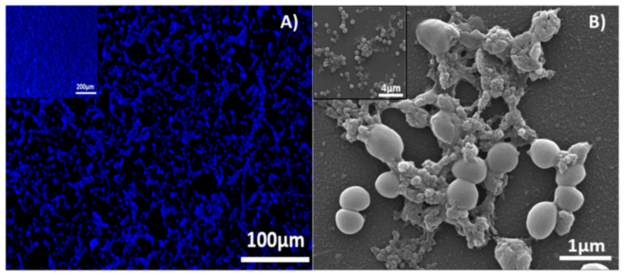 Molecules 23 01399 g004