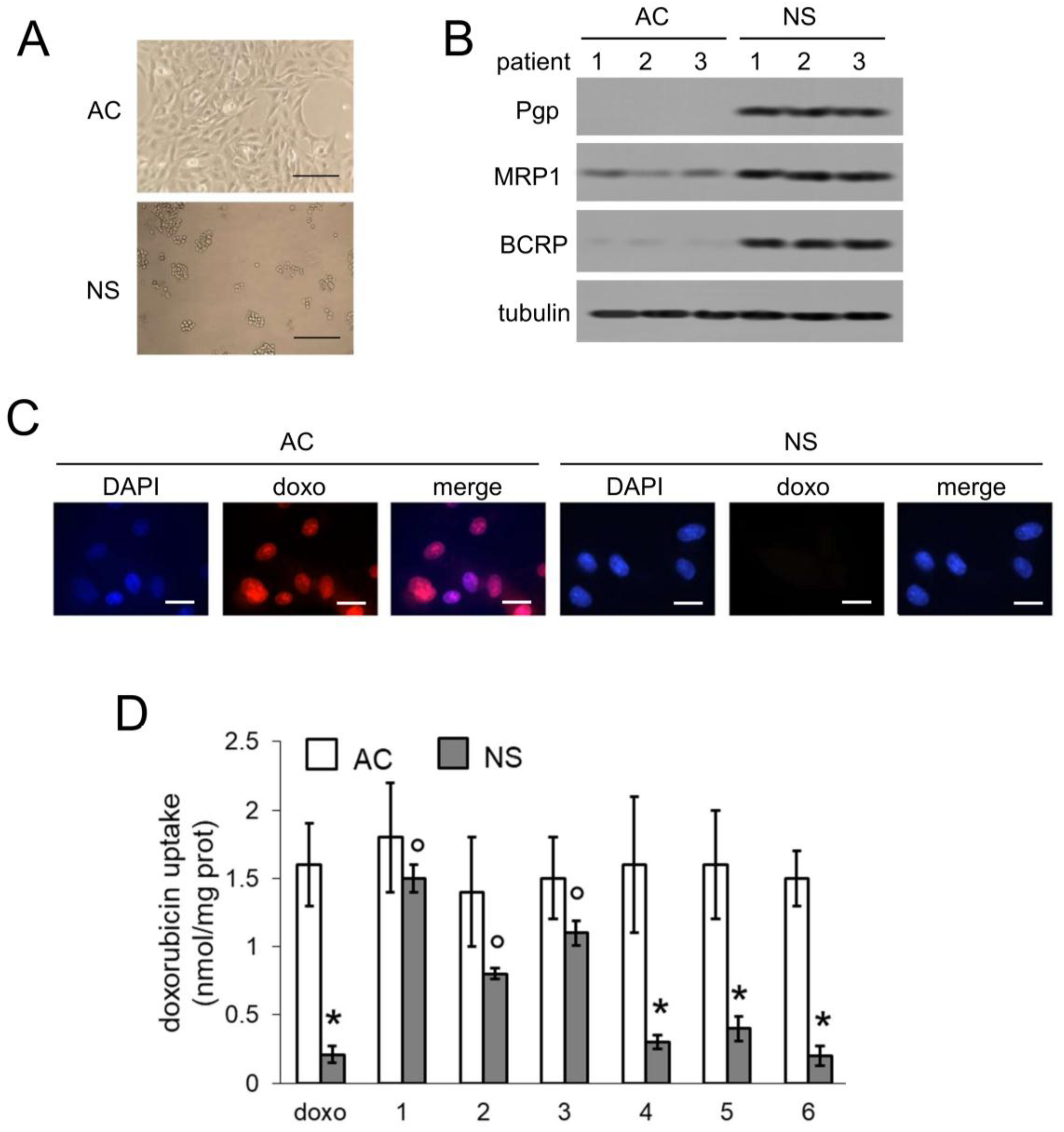 Molecules 23 01401 g002