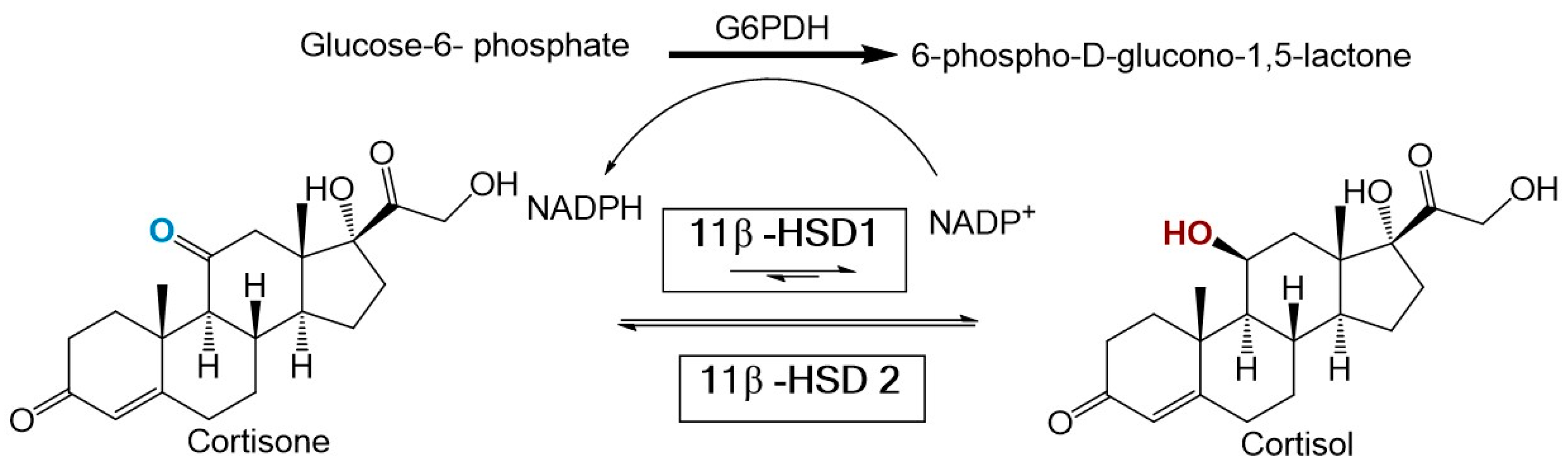 Molecules 23 01444 g001