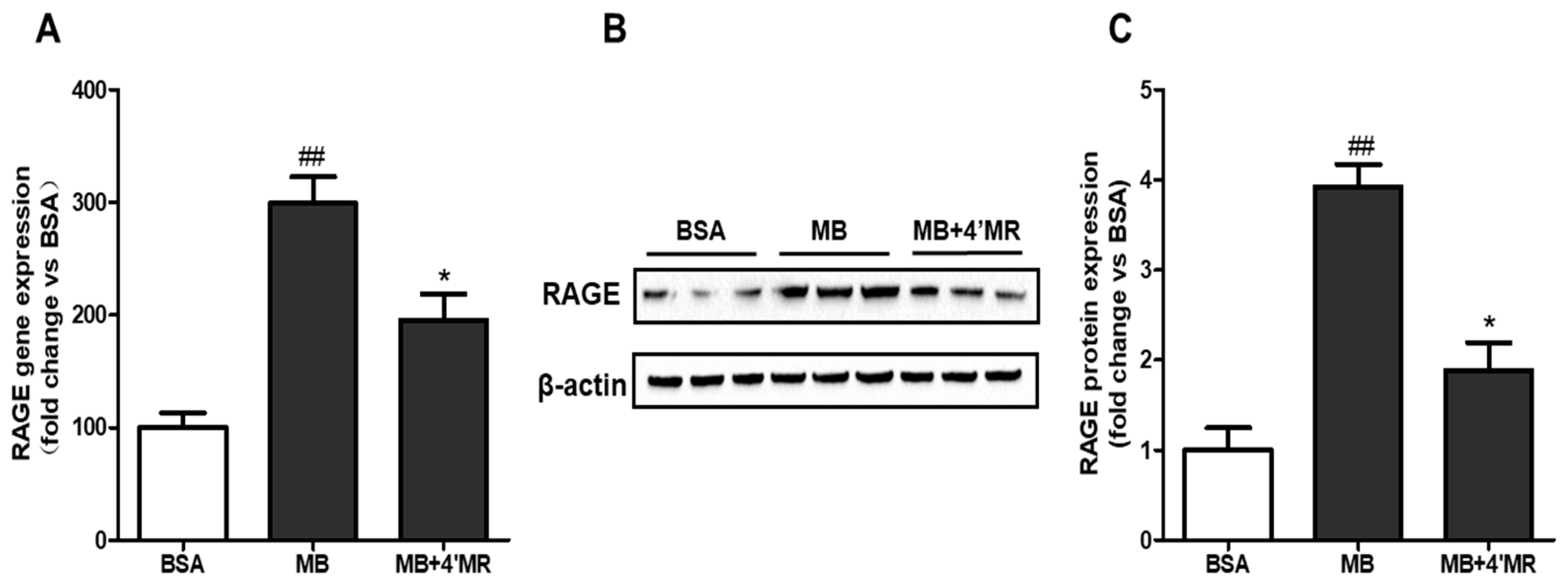 Molecules 23 01447 g003 Molecules 23 01447 g003