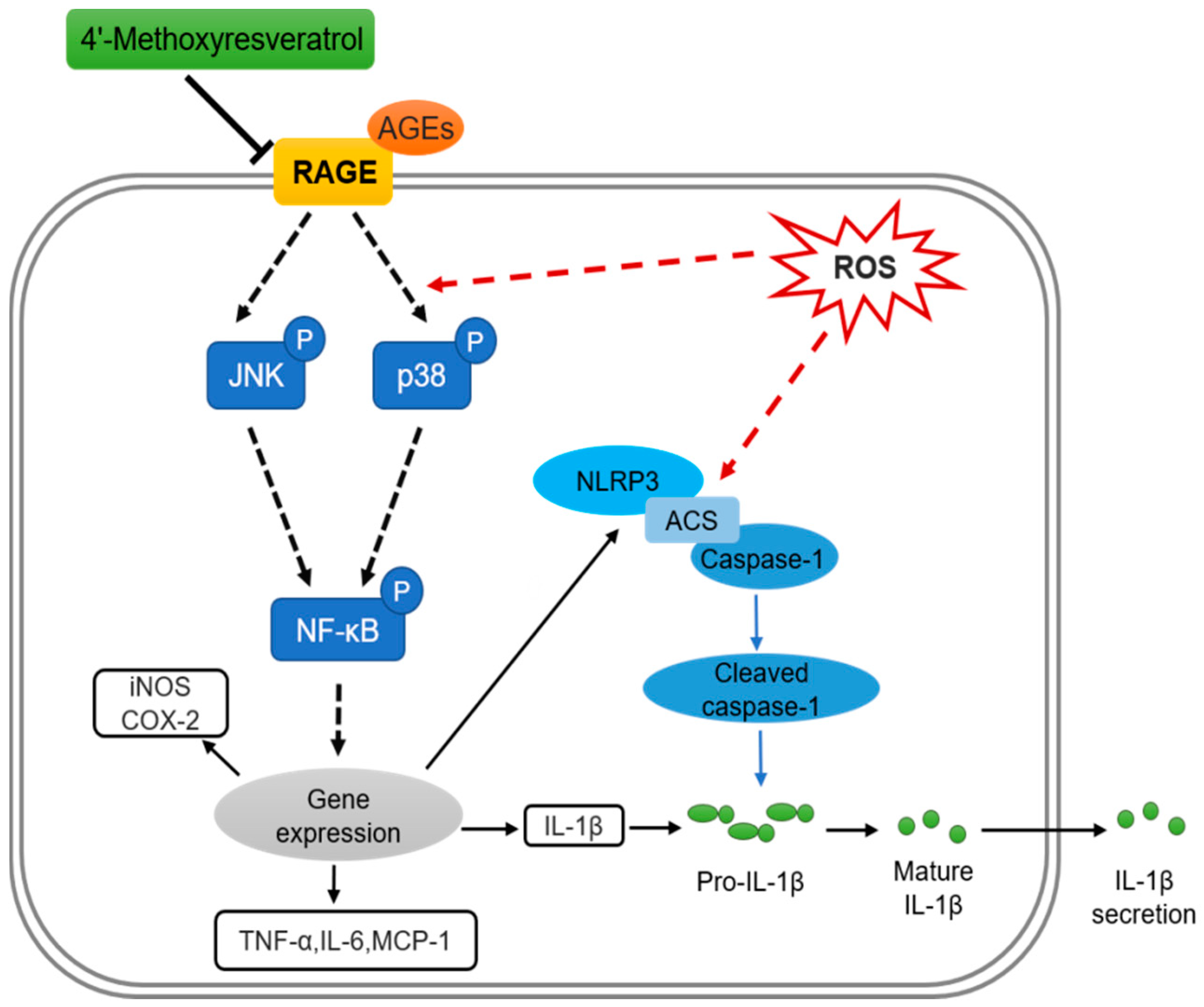 Molecules 23 01447 g006 Molecules 23 01447 g006