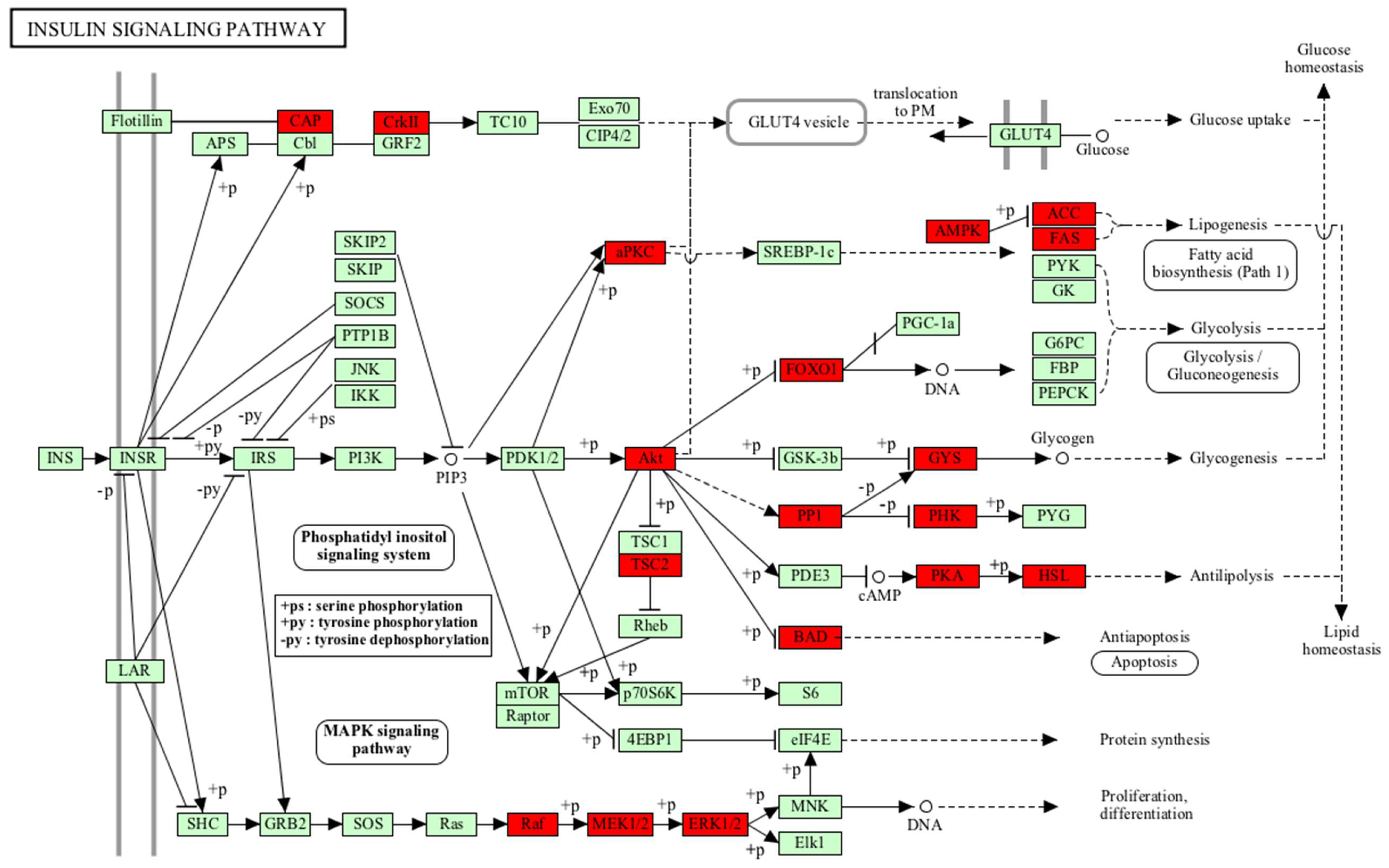 Molecules 23 01454 g001