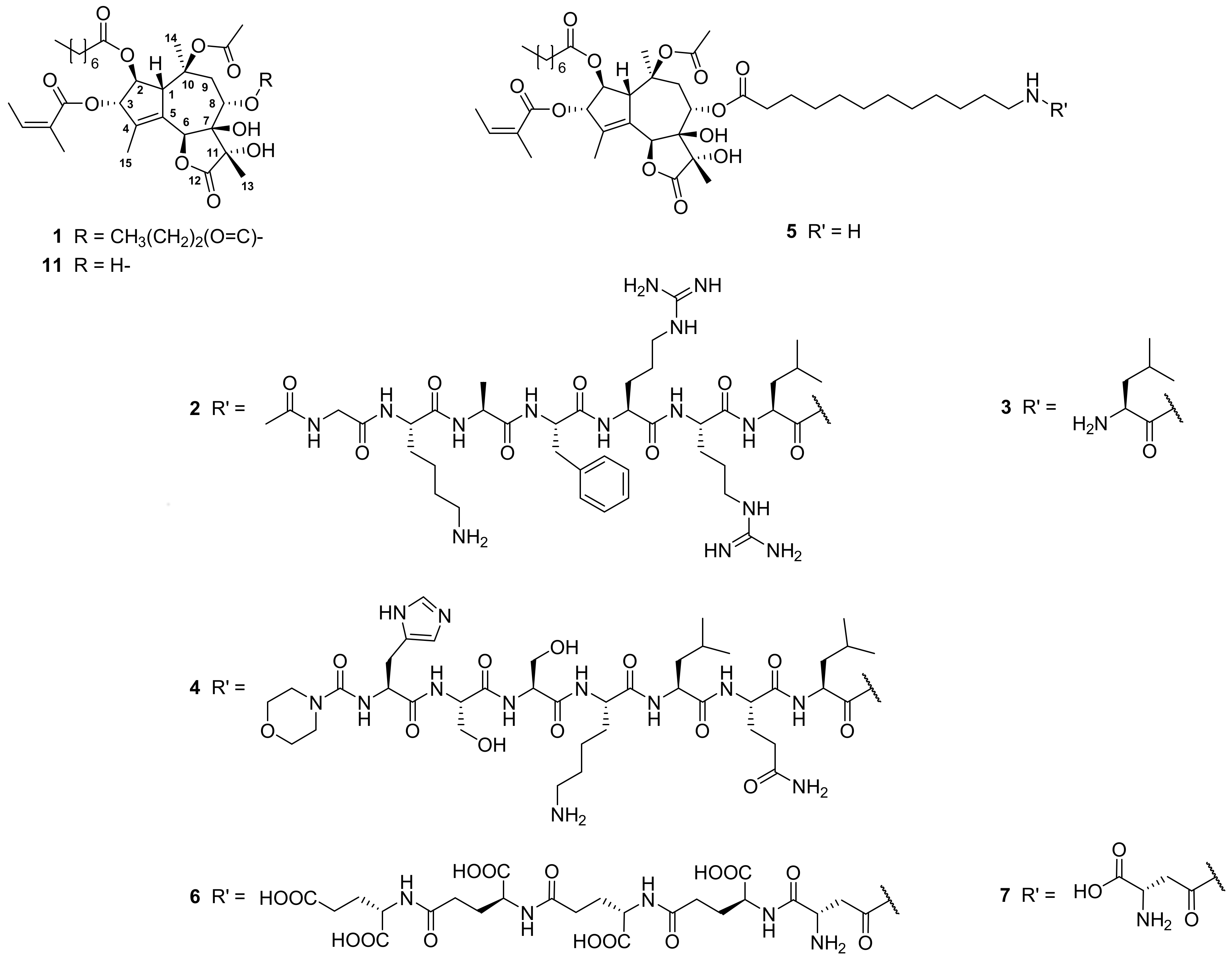 Molecules 23 01463 g001 Molecules 23 01463 g001