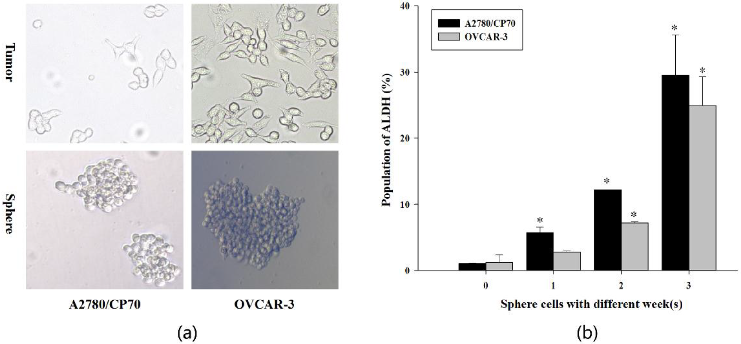 Molecules 23 01469 g001 Molecules 23 01469 g001
