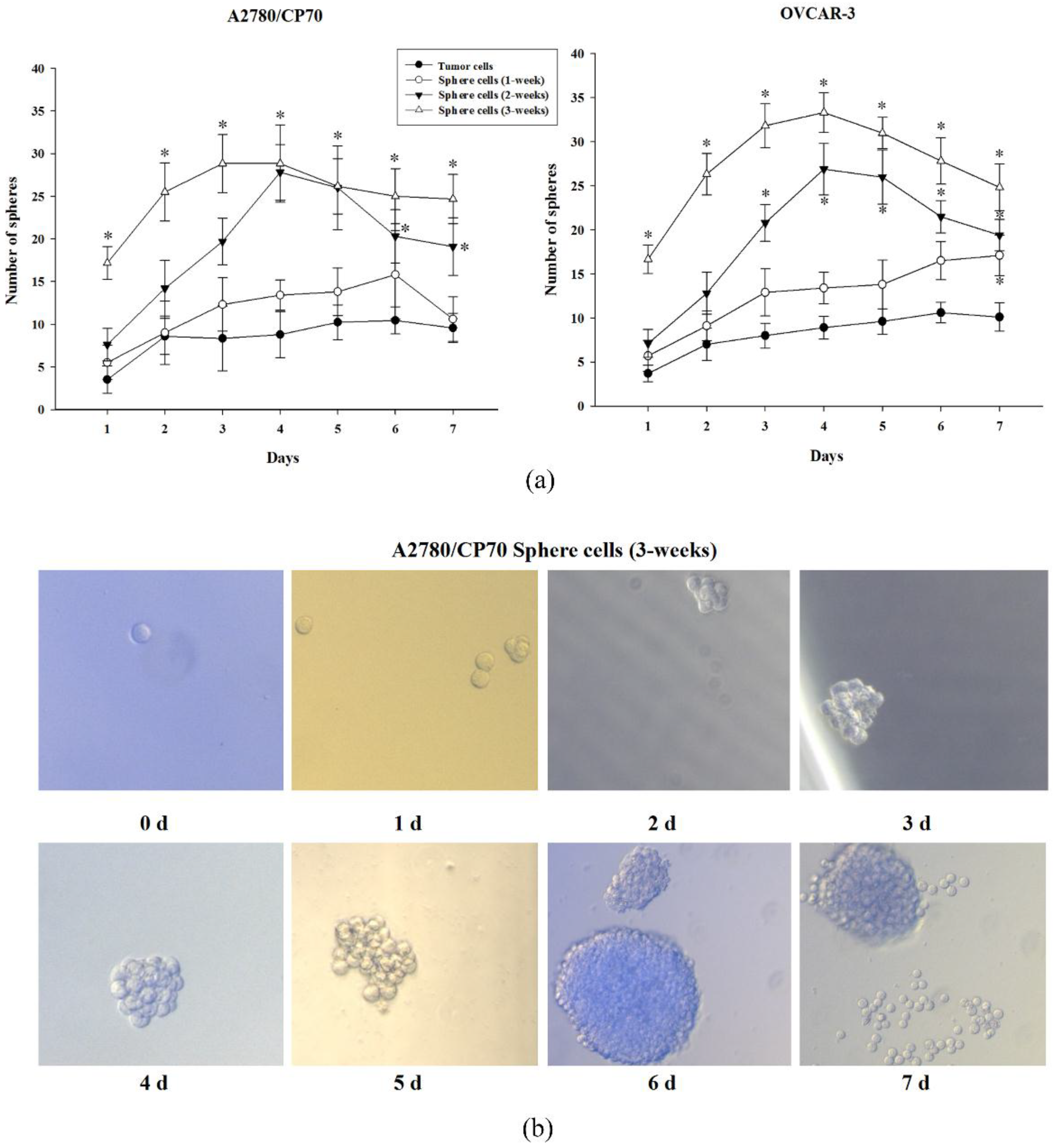 Molecules 23 01469 g002 Molecules 23 01469 g002